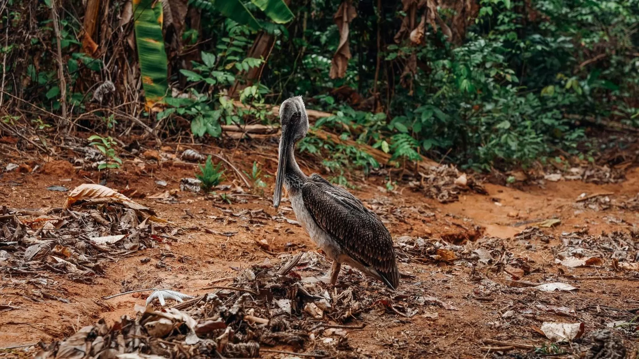 Natural landscape in Saboga Lodge