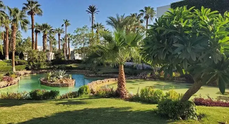 Garden in Monte Carlo Sharm Resort & Spa