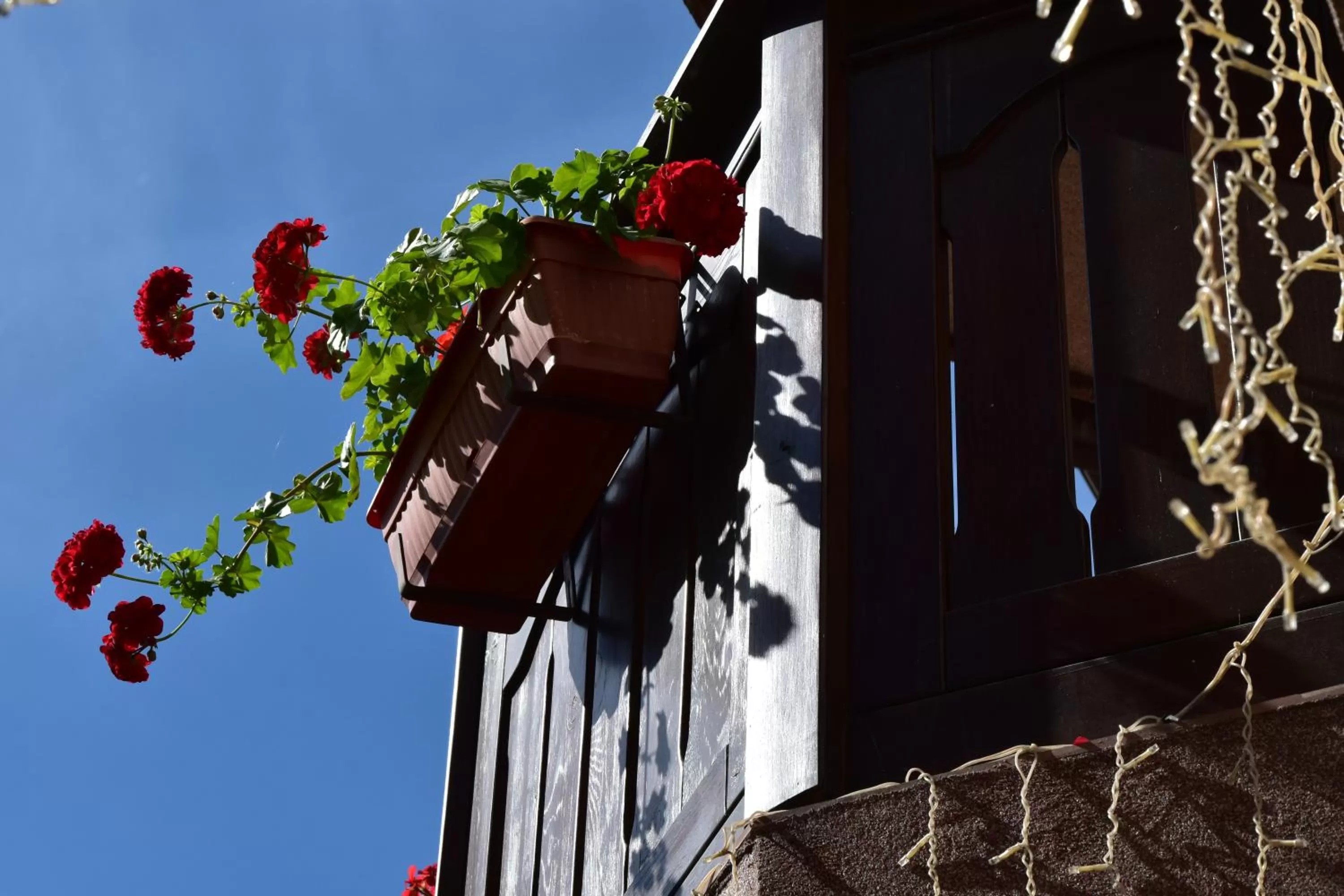 Decorative detail in Martin Club Hotel