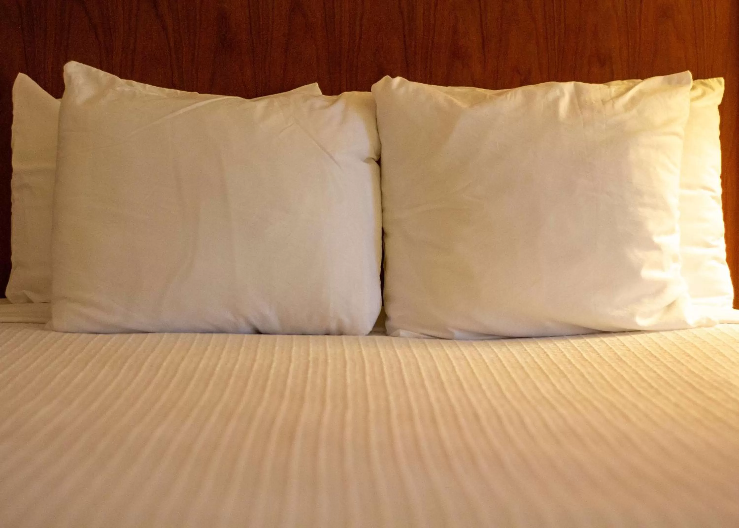 King Suite - Smoking in Best Western Plus A Wayfarer's Inn & Suites