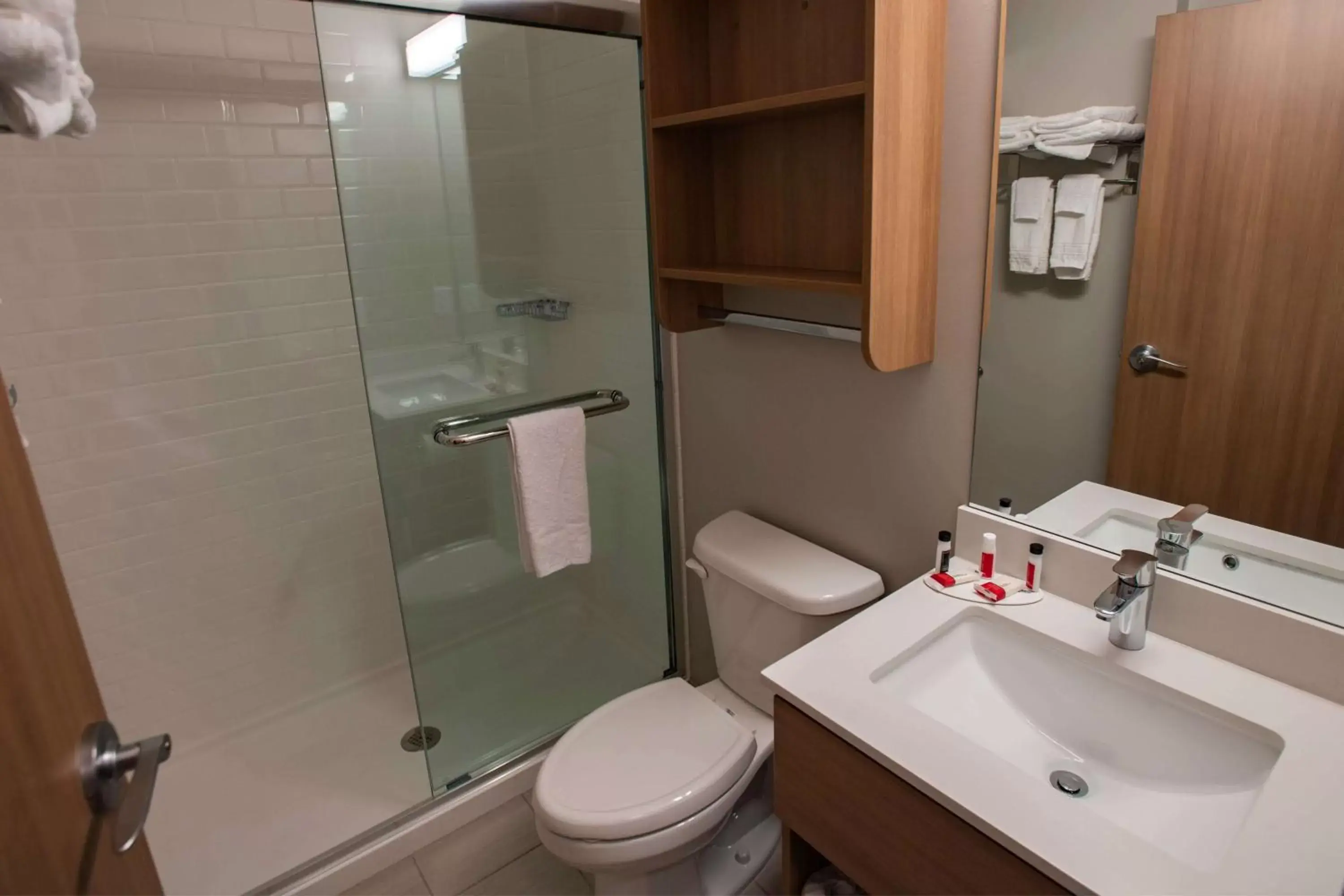 Bathroom in Microtel Inn & Suites by Wyndham Amsterdam