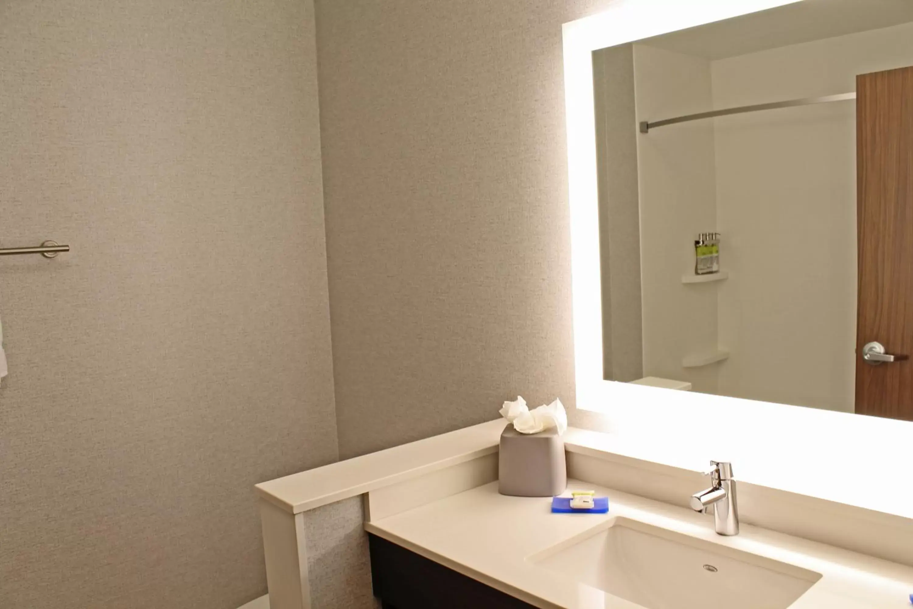 Bathroom in Holiday Inn Express & Suites - St. Louis South - I-55, an IHG Hotel