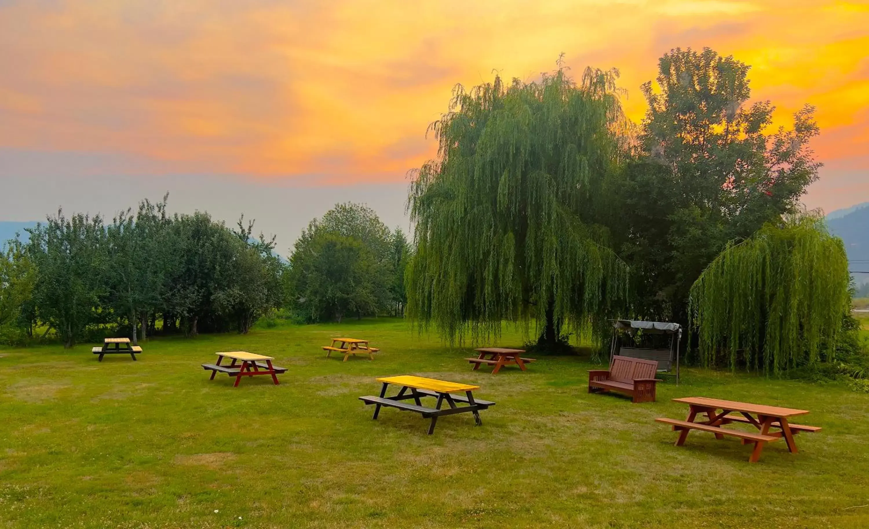 BBQ facilities, Garden in Monashee Motel