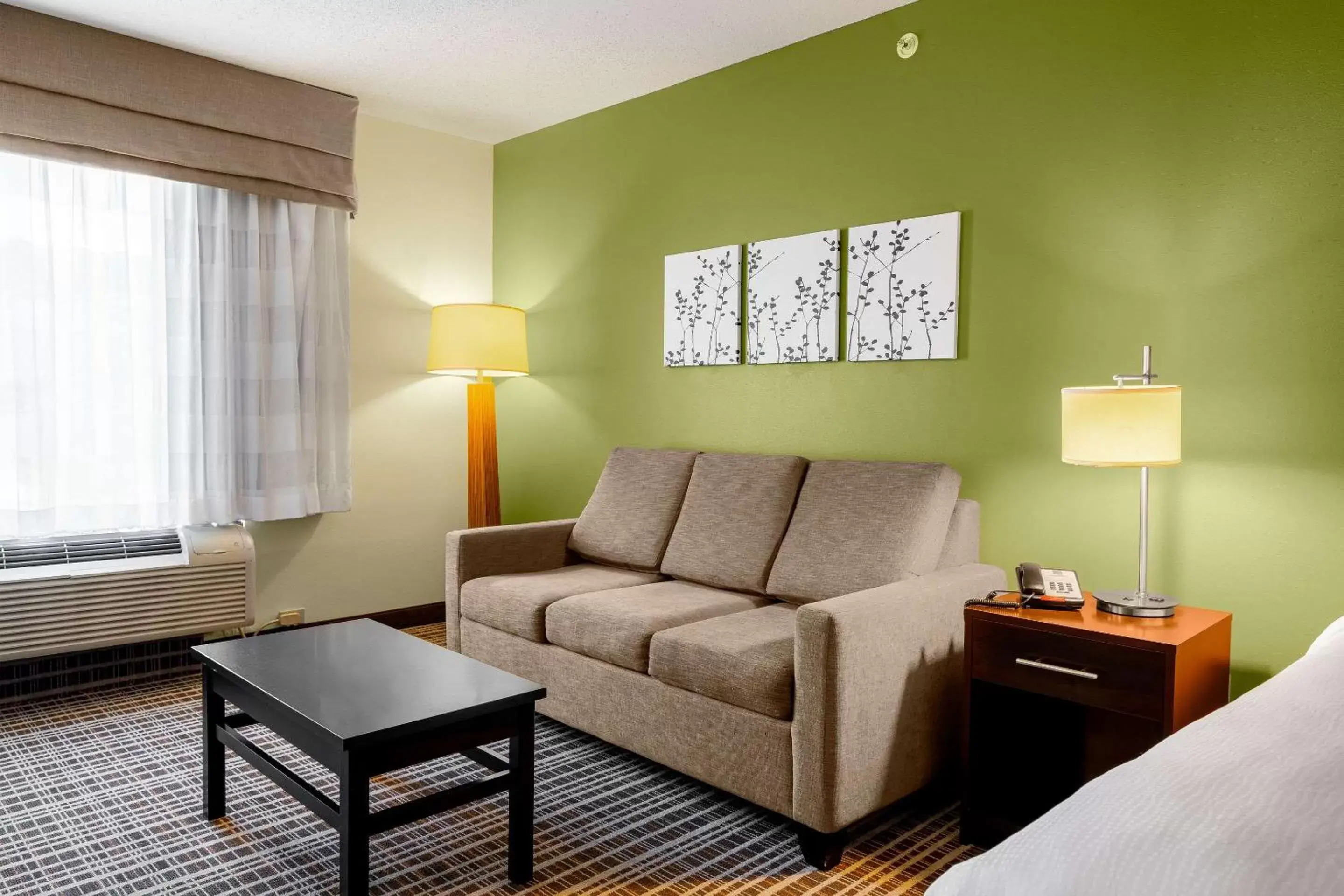 Photo of the whole room, Seating Area in Sleep Inn & Suites Harbour Pointe Midlothian