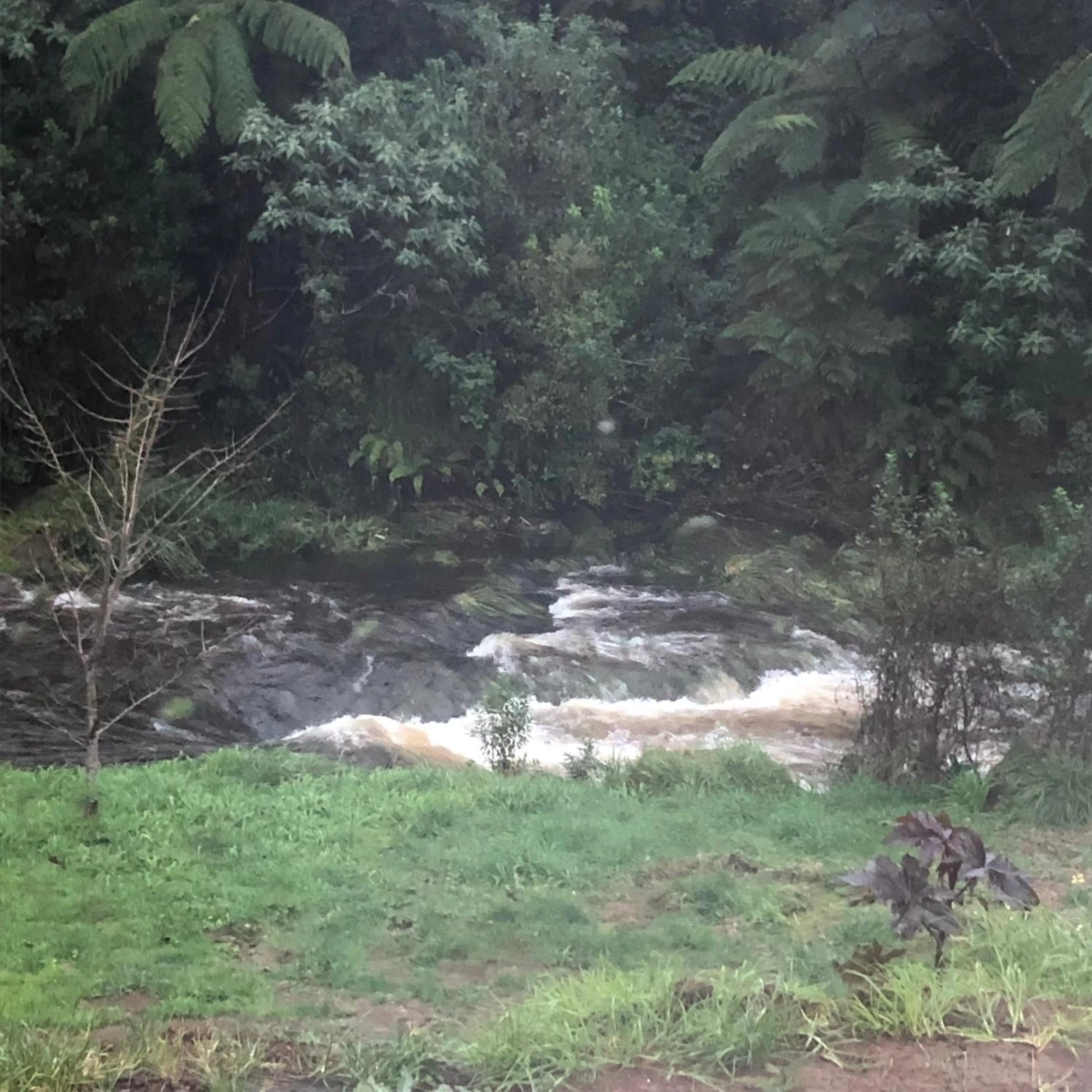 Natural landscape in Almost Heaven BNB