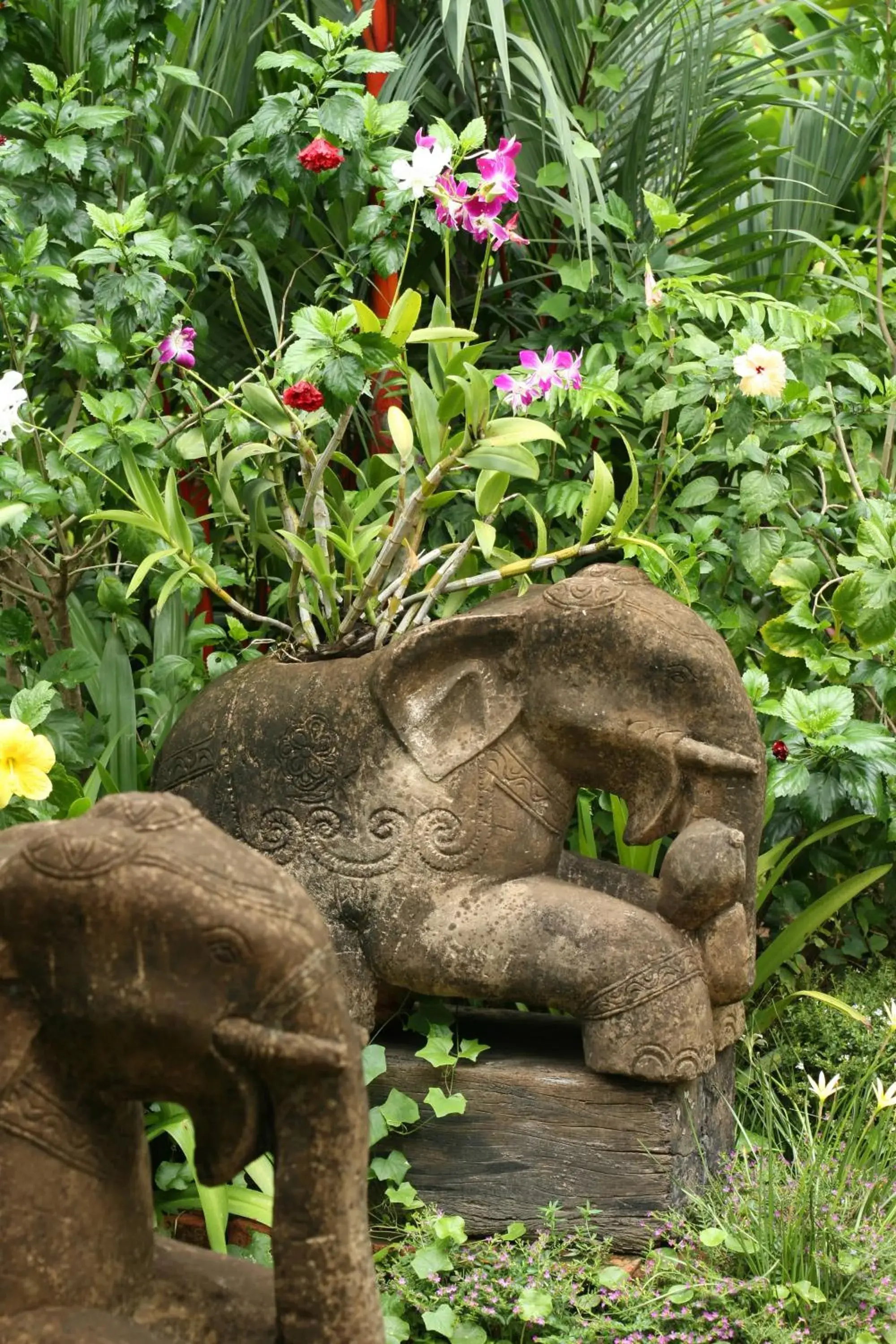 Garden, Other Animals in Ban Keaw Villas