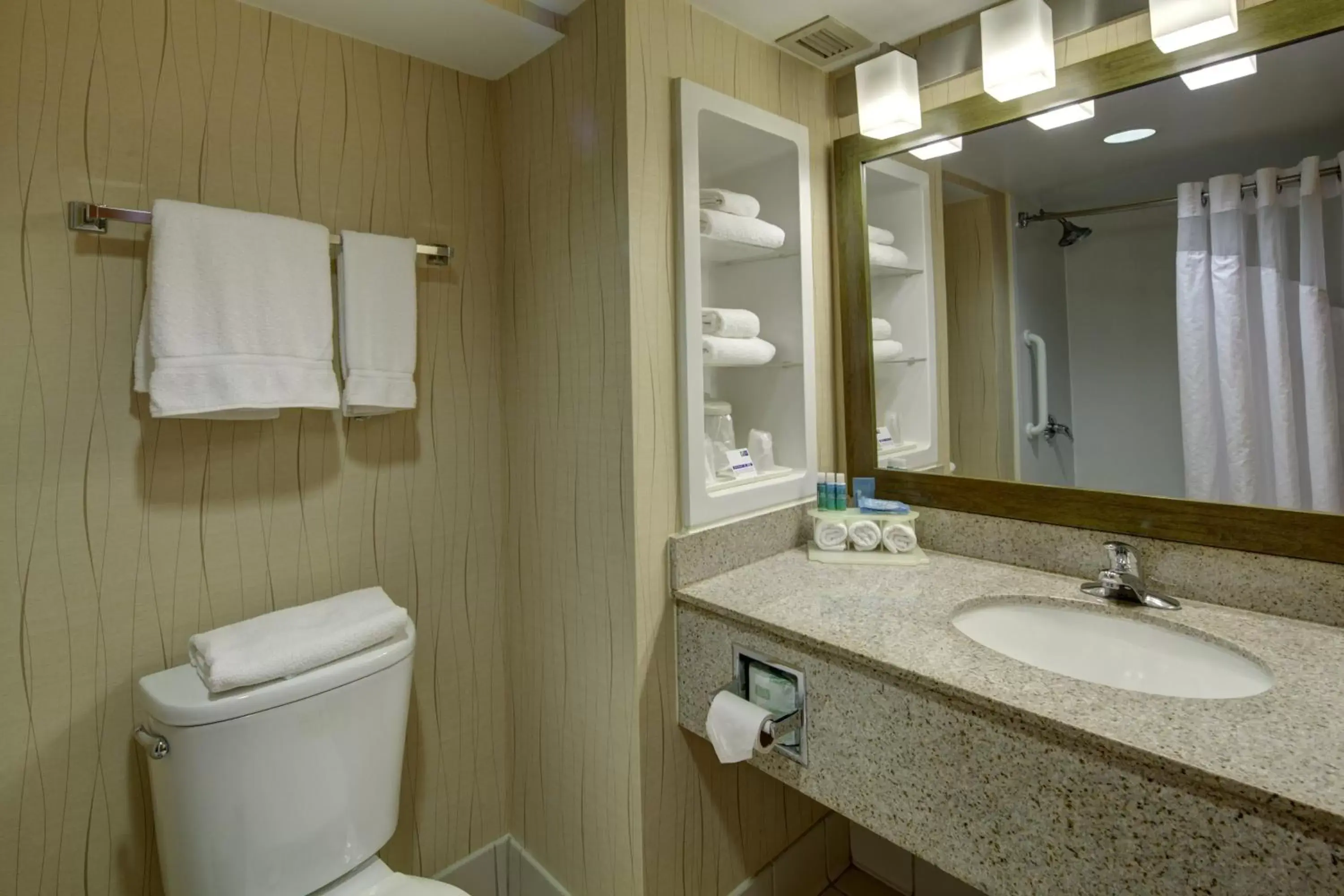 Bathroom in Holiday Inn Express Hotel & Suites Emporia, an IHG Hotel