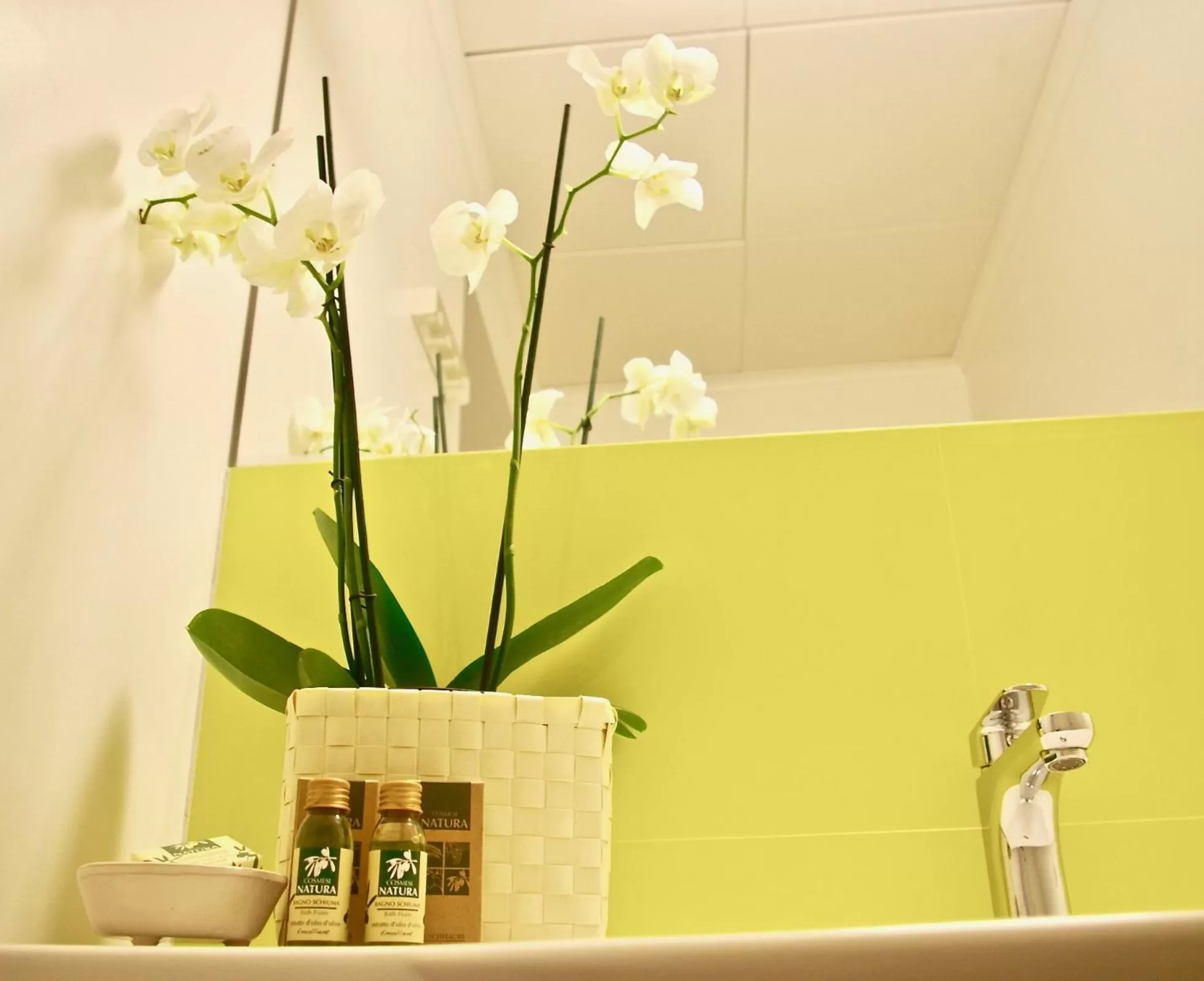 Bathroom in La Scibina