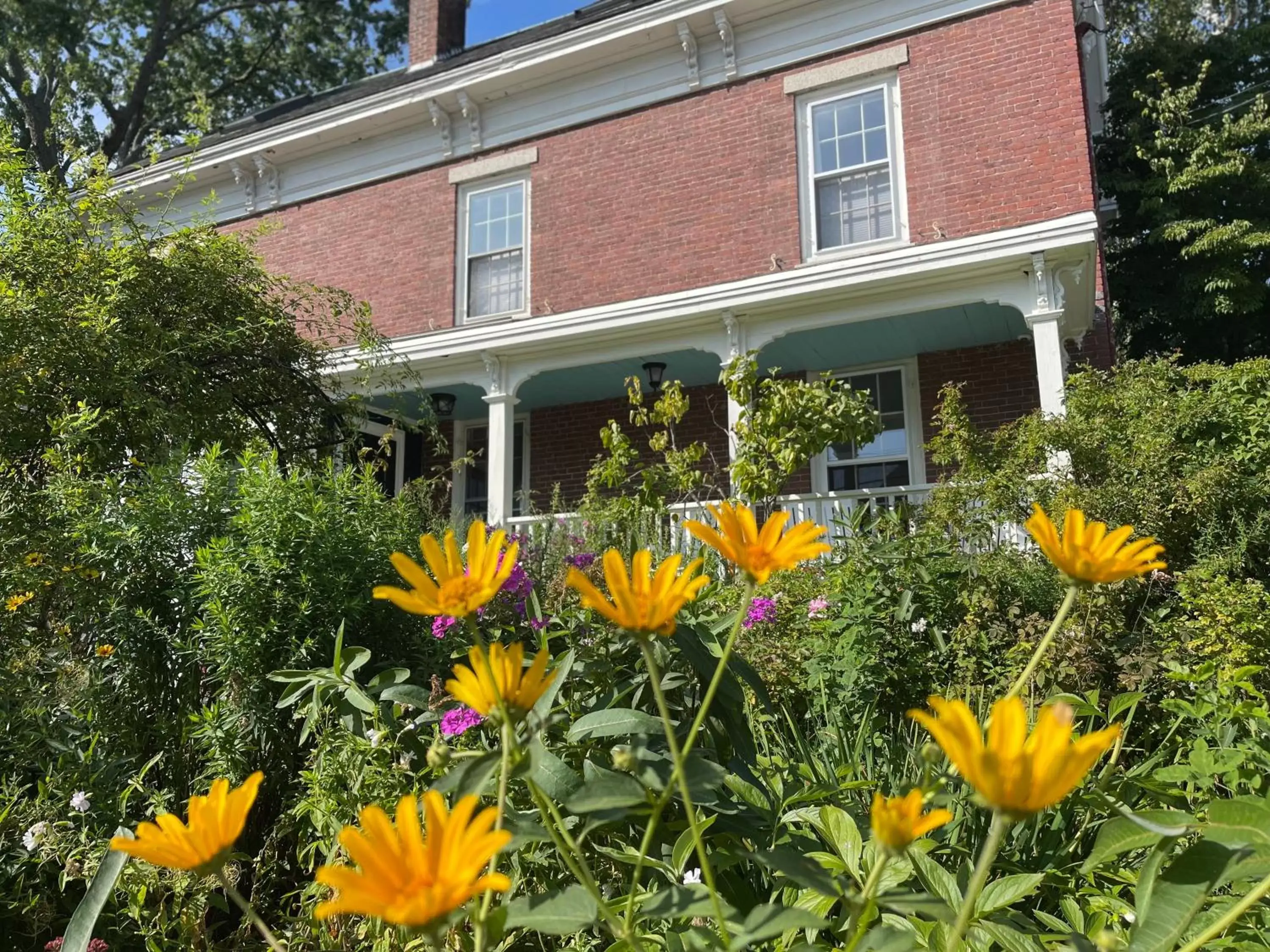 Property Building in The Water Street Inn