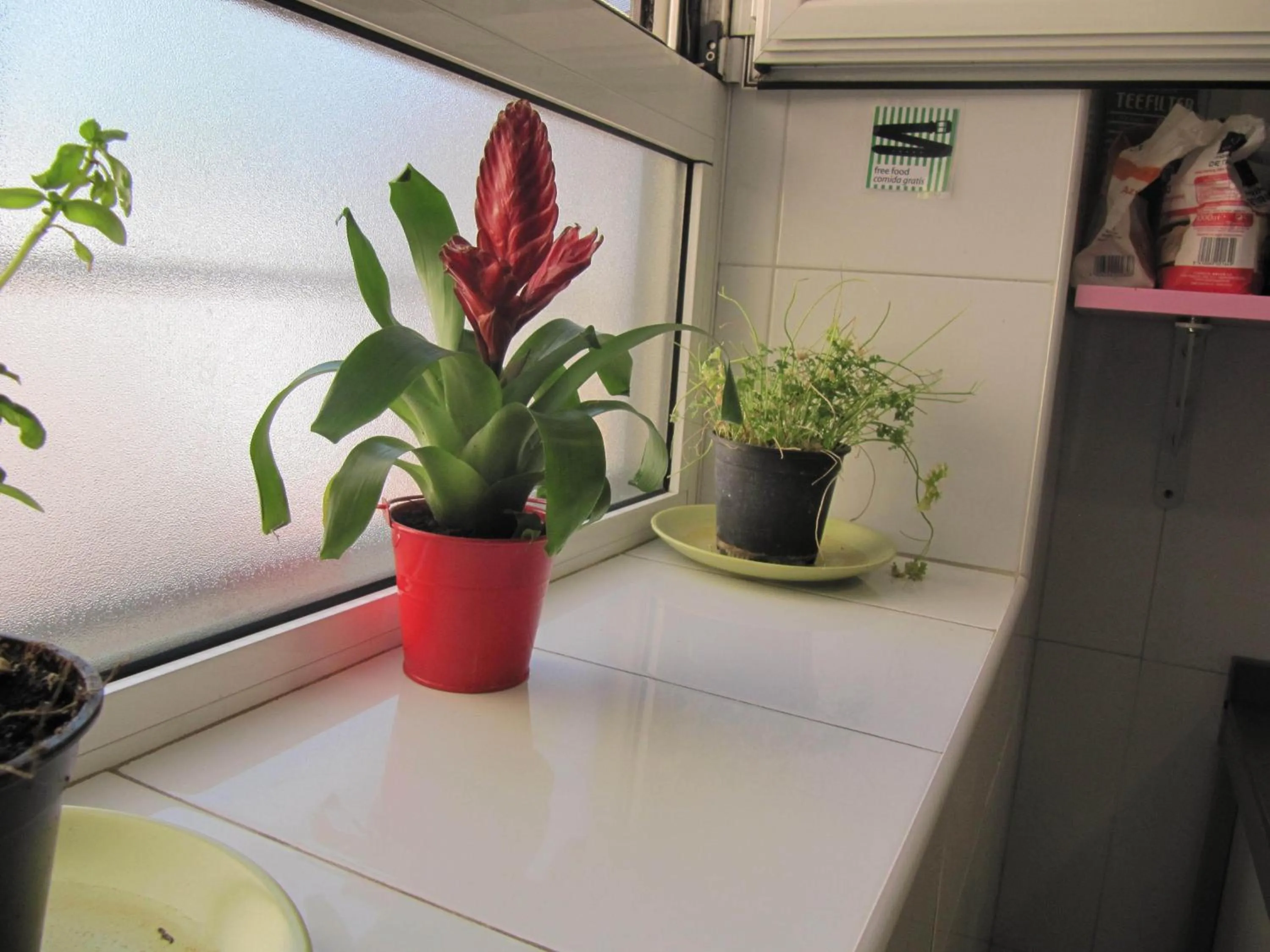 Decorative detail in Mellow Barcelona