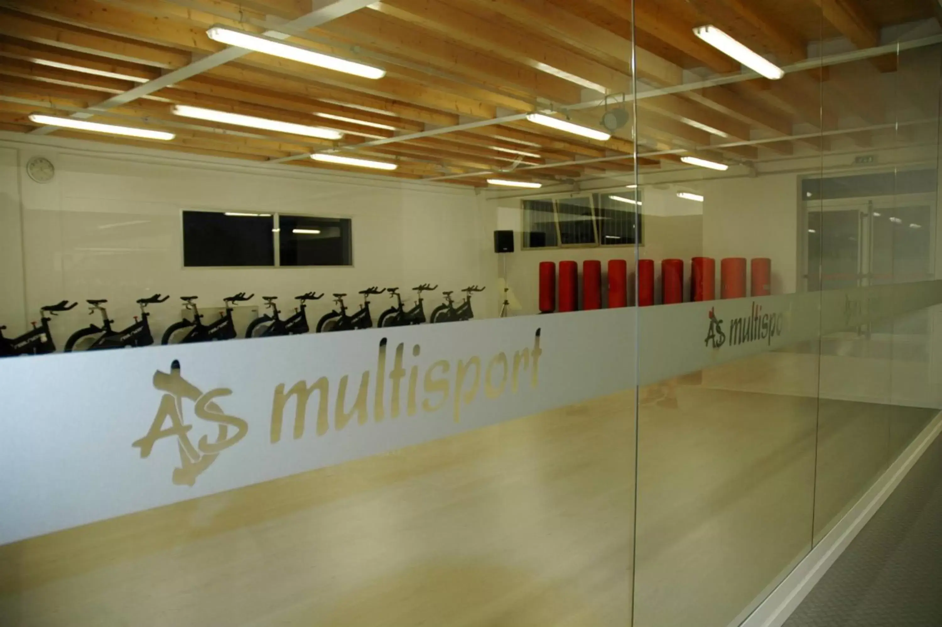 Fitness centre/facilities in Villa Myosotis