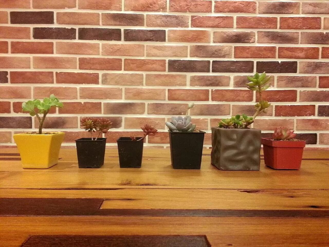 Decorative detail in Visual Range B&B