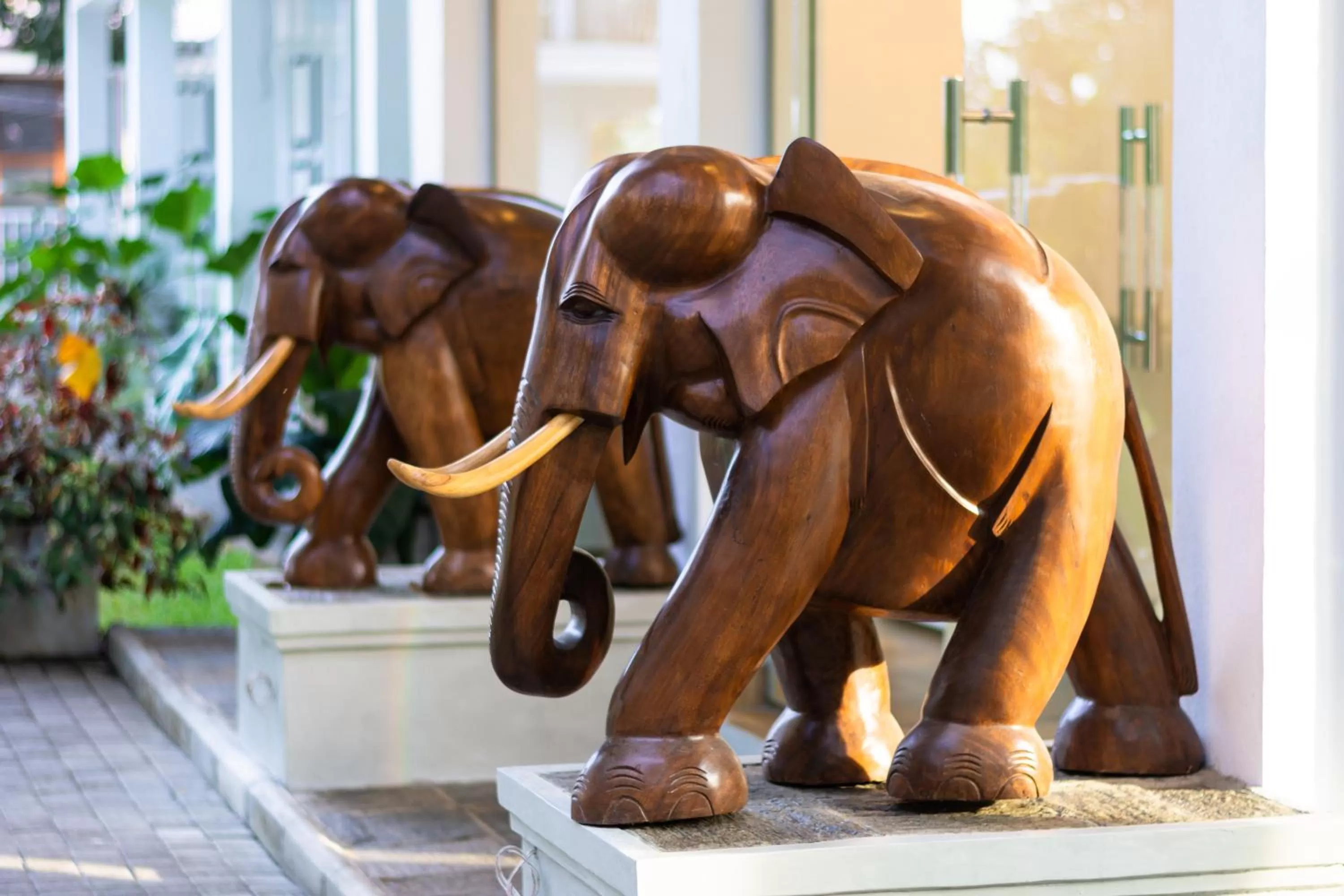 Animals in Waters Spring