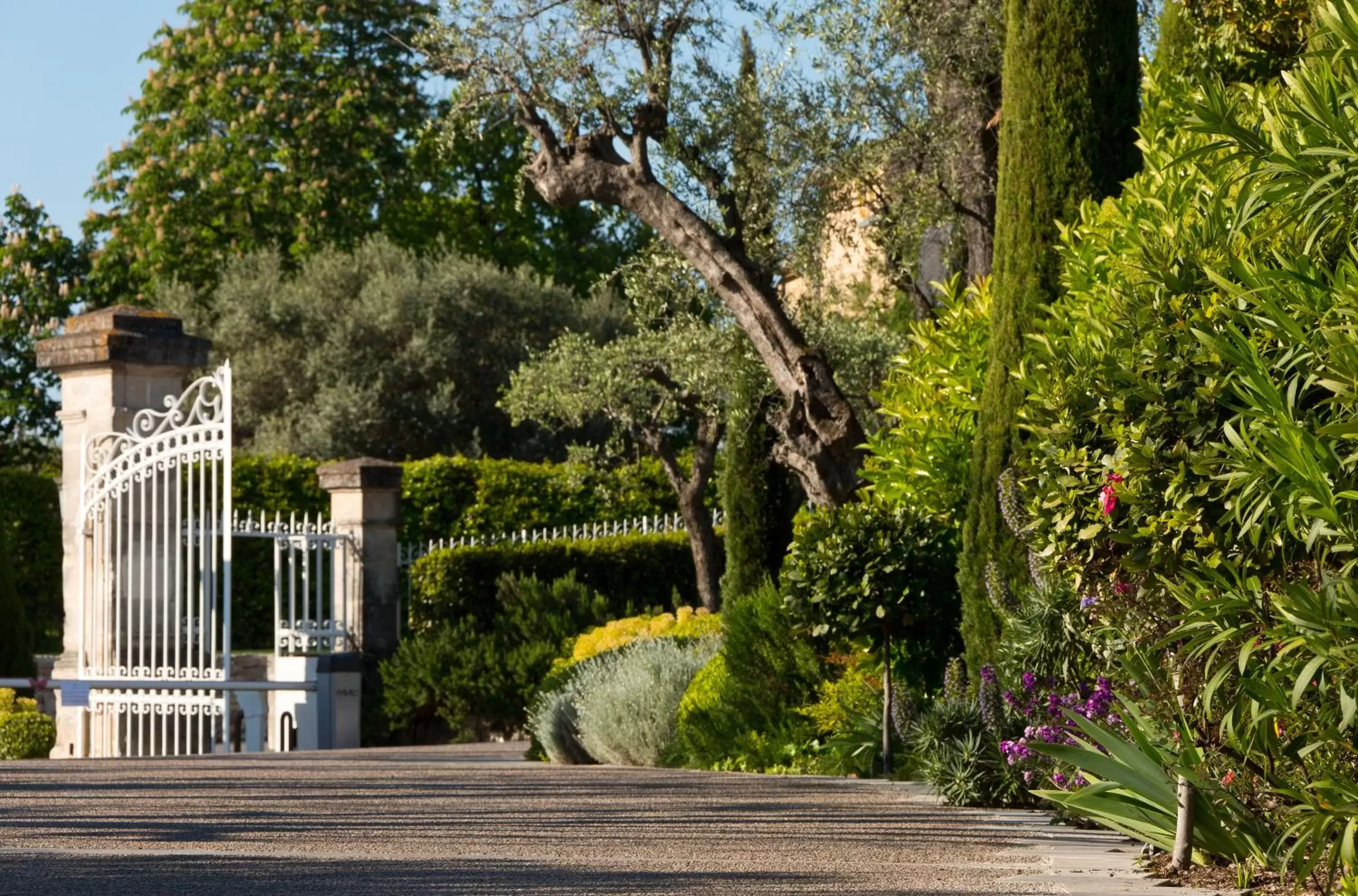 Garden in Domaine du Mas De Pierre