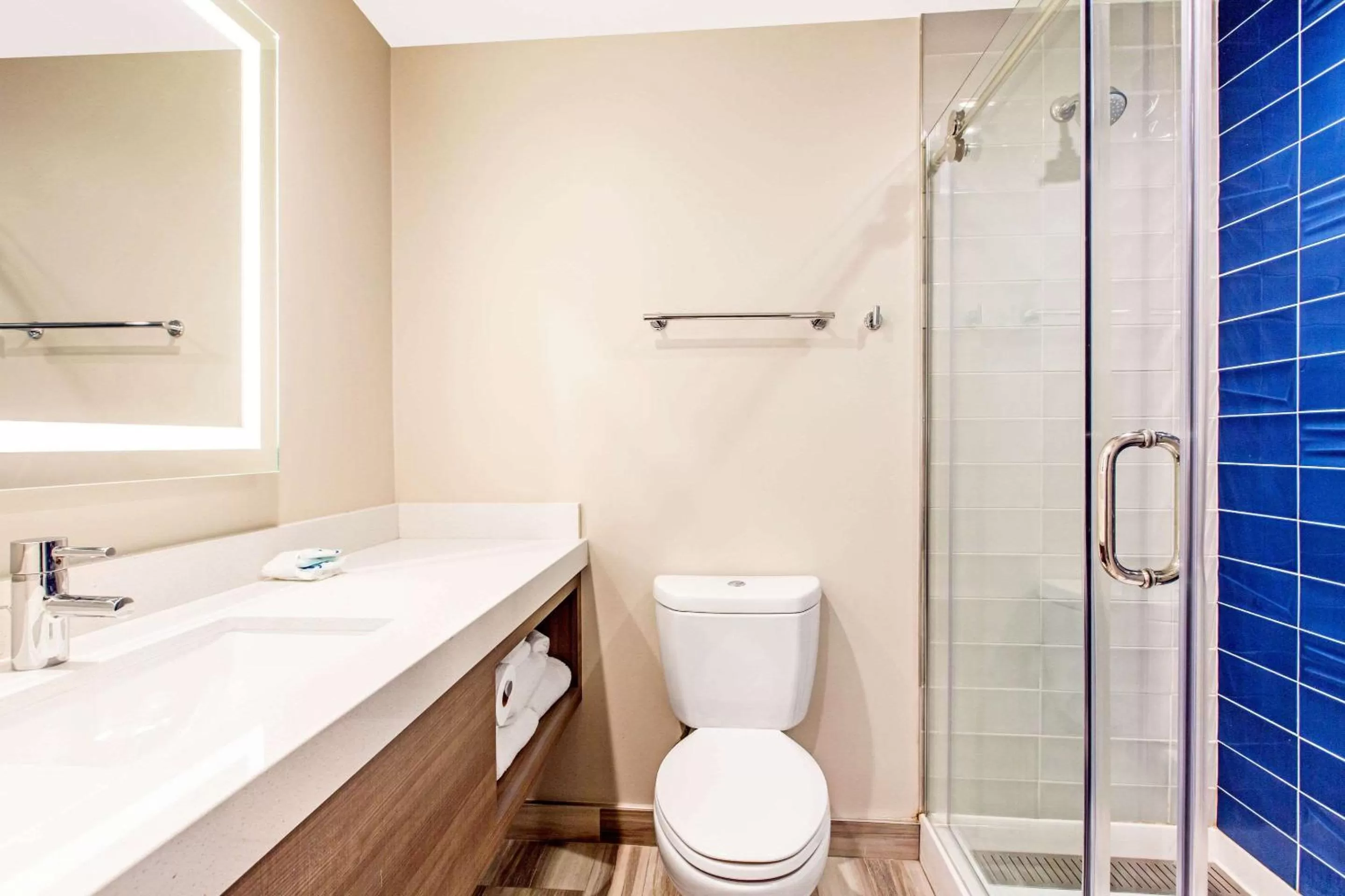 Bathroom in Rodeway Inn near Melrose Ave