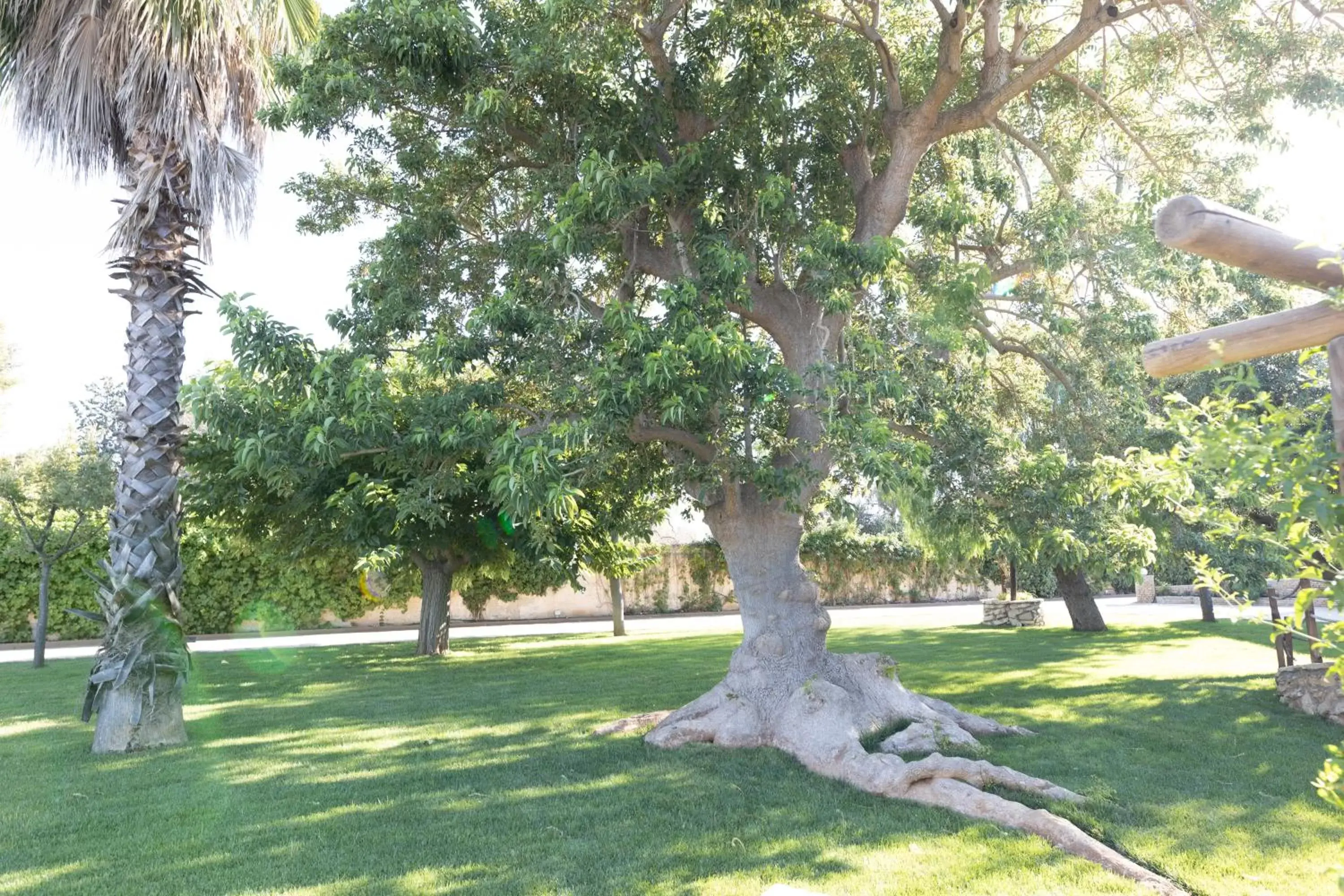 Garden in AgriFamily Village