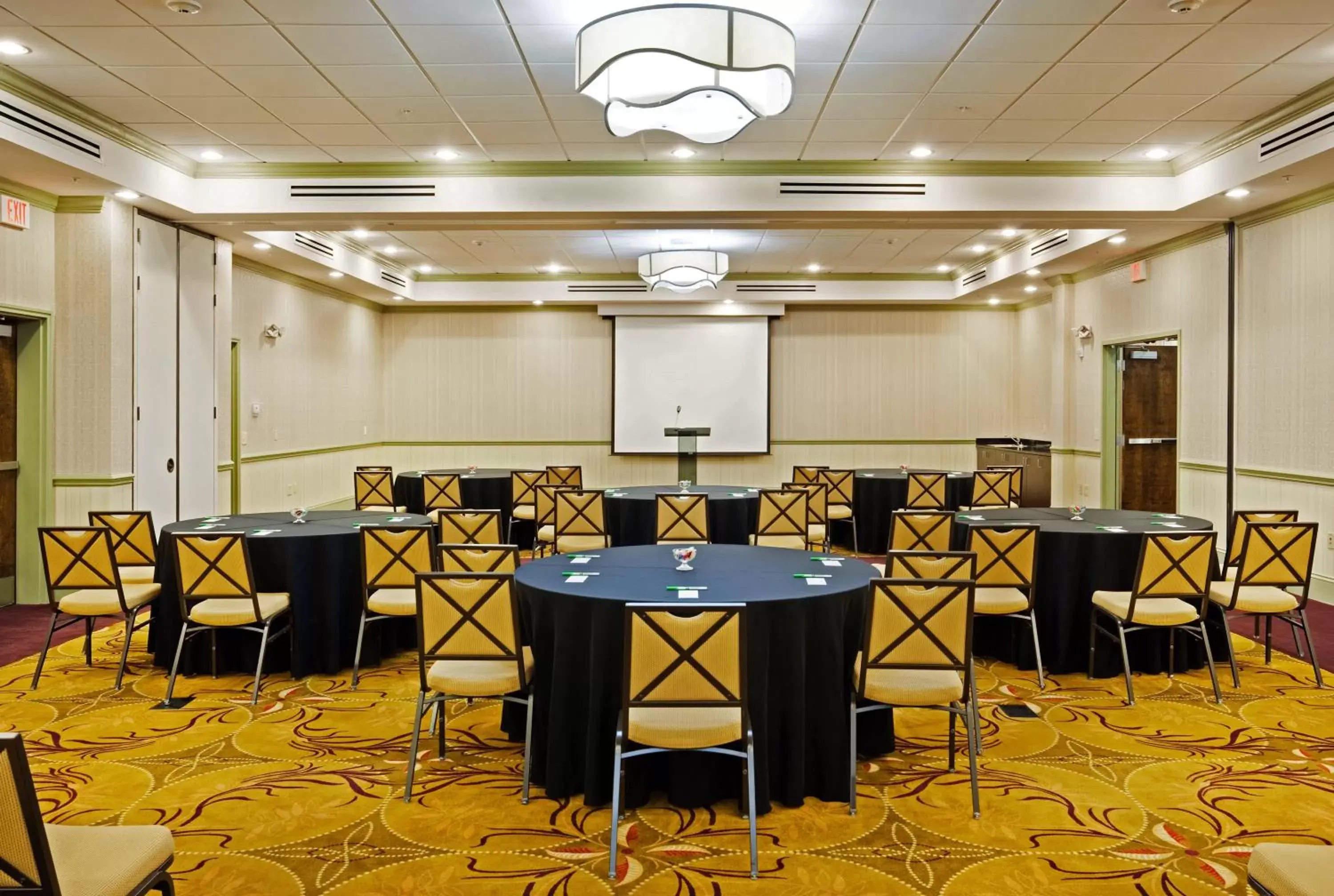 Meeting/conference room in Holiday Inn Rock Hill, an IHG Hotel