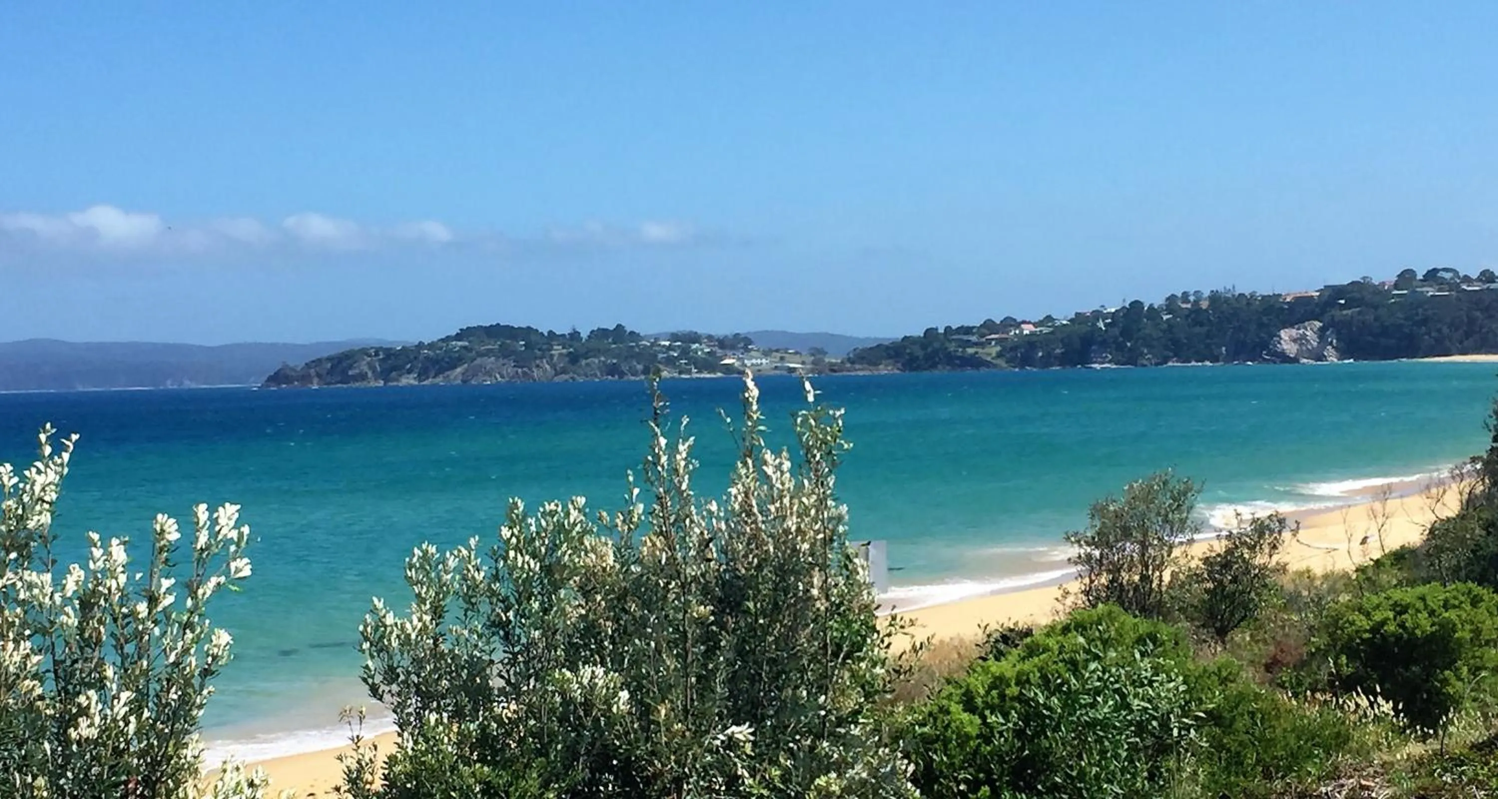 Natural landscape in Coachman's Eden