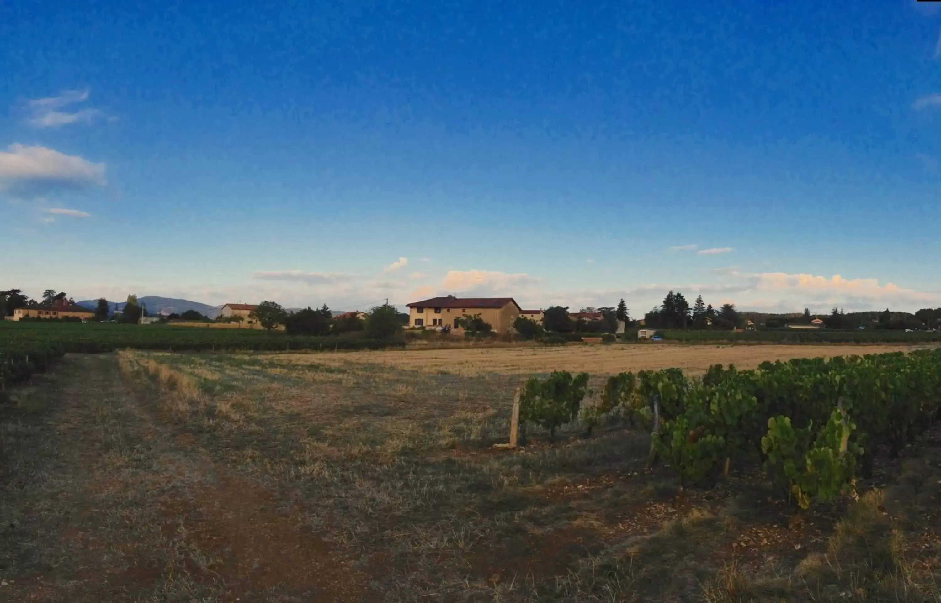 Natural landscape in Le Clos du Cher en Beaujolais