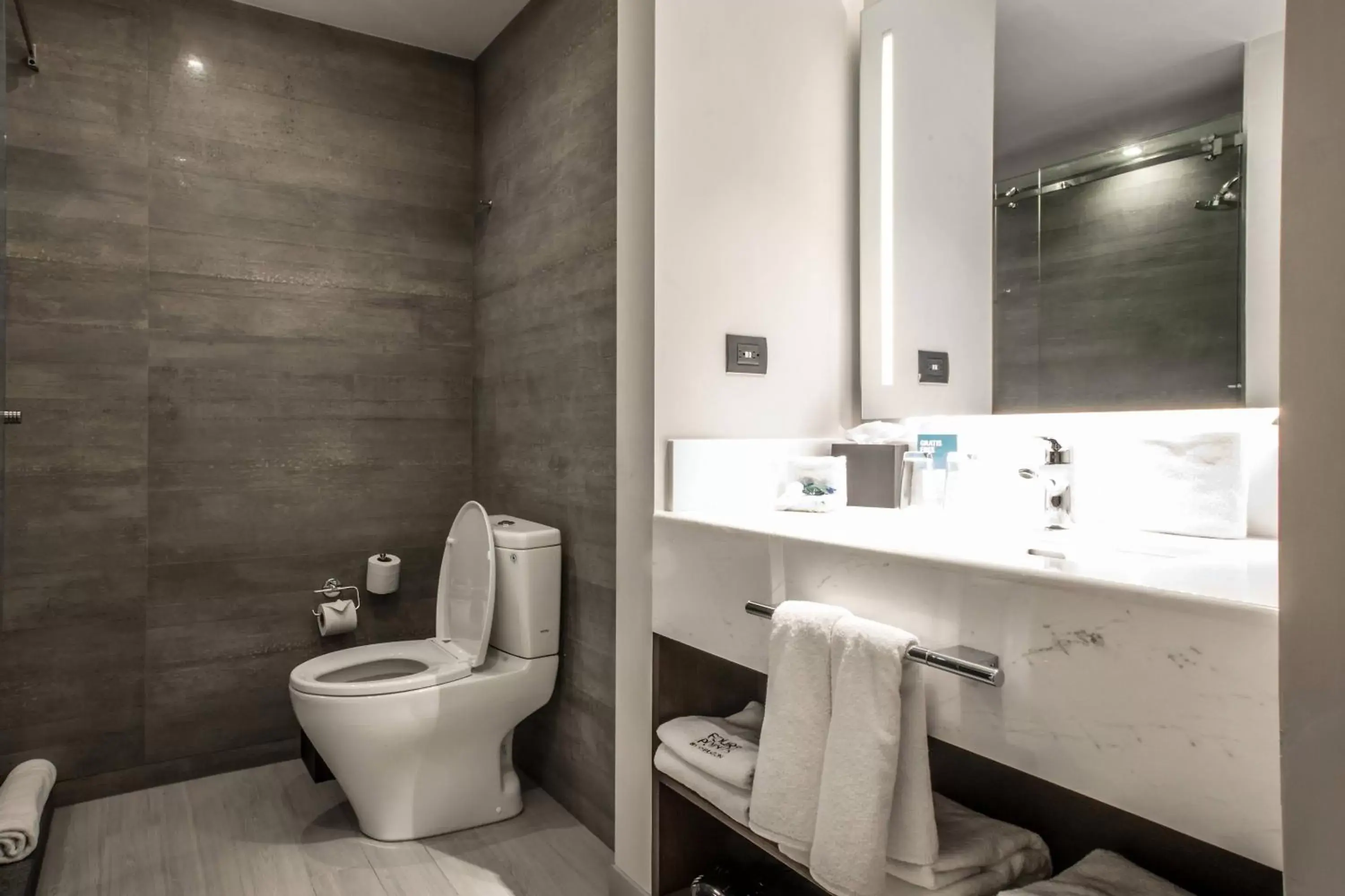 Bathroom in Four Points by Sheraton Puebla