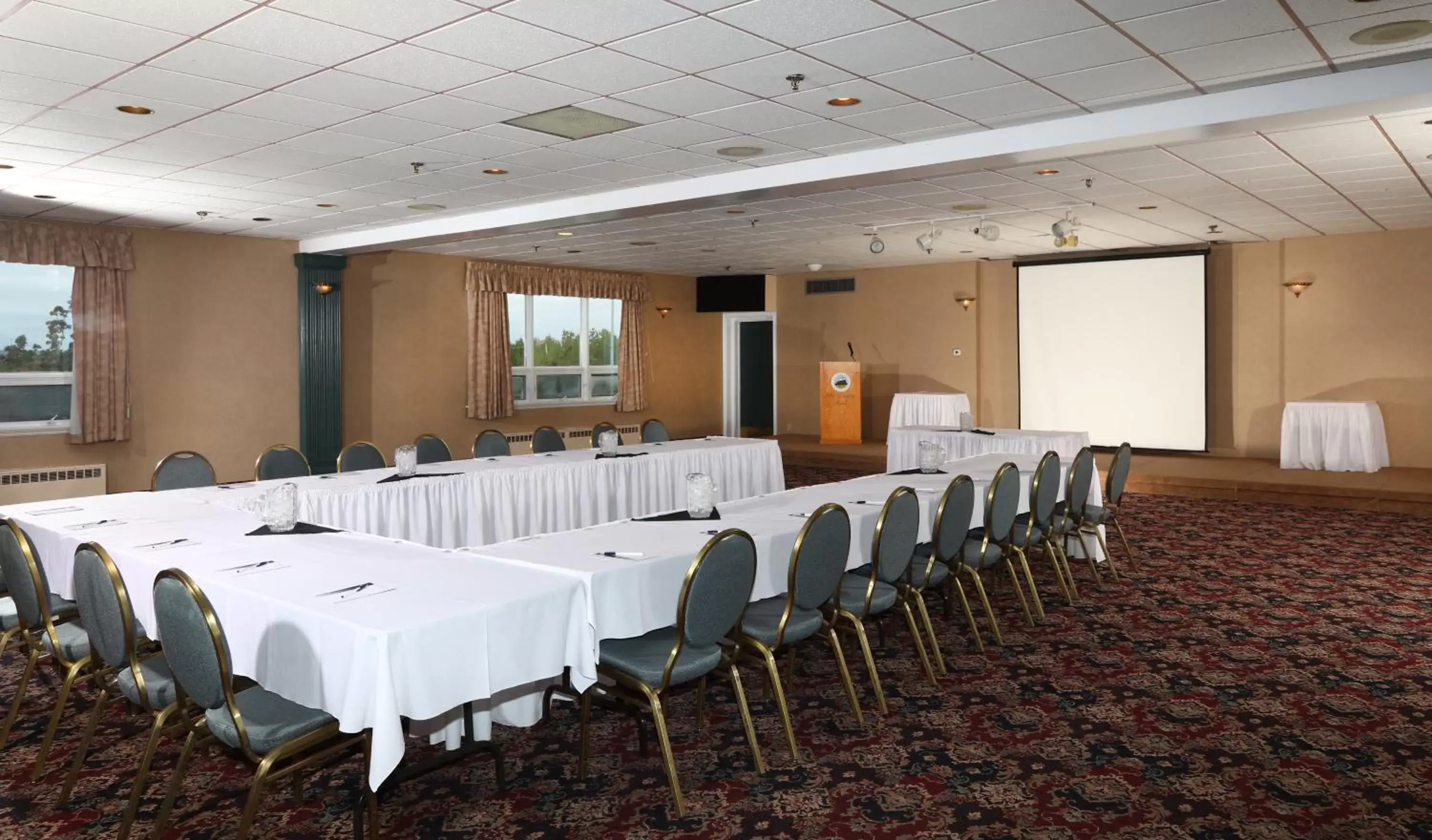 Meeting/conference room in Mount Peyton Resort & Conference Centre