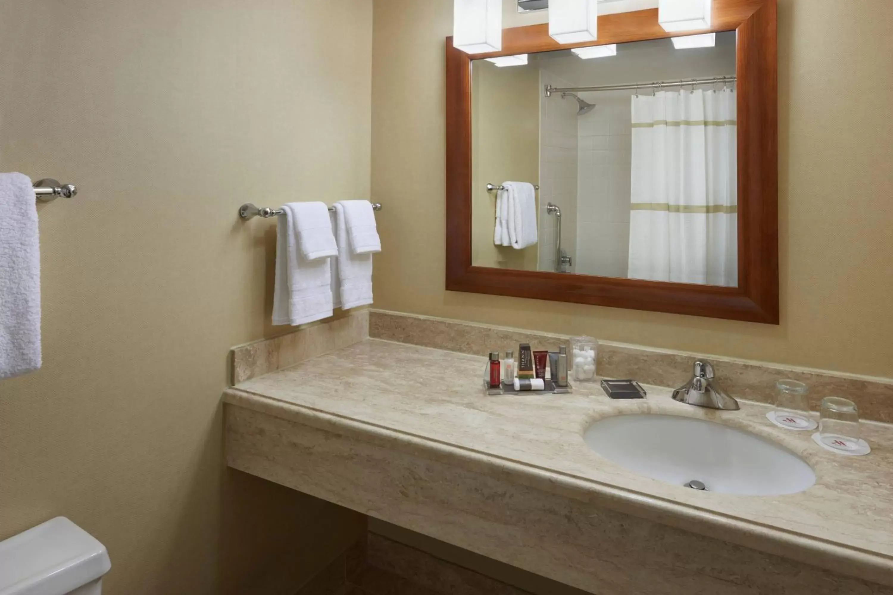 Bathroom in Toronto Airport Marriott Hotel