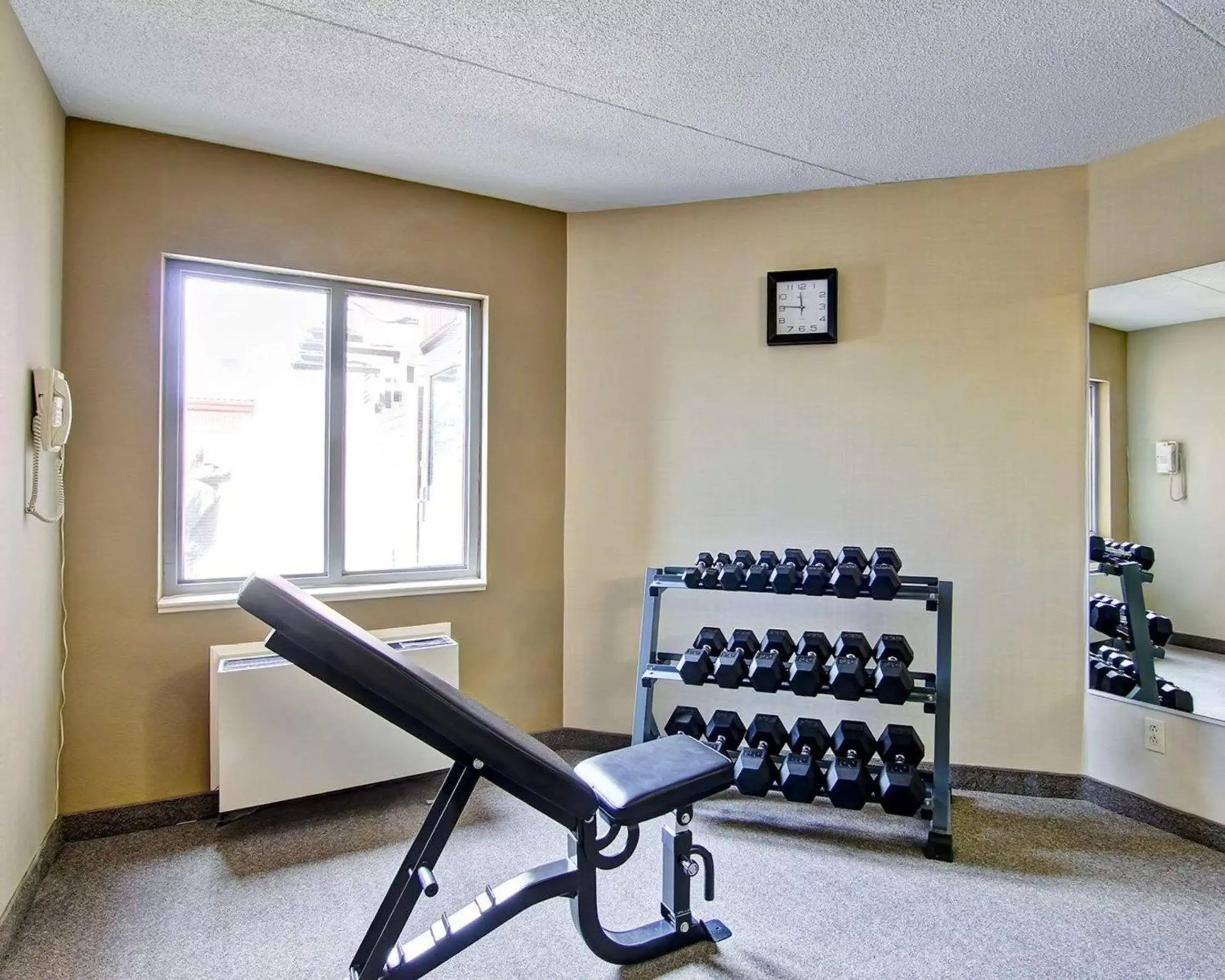 Fitness centre/facilities, Fitness Center/Facilities in Comfort Inn St. Catharines Niagara