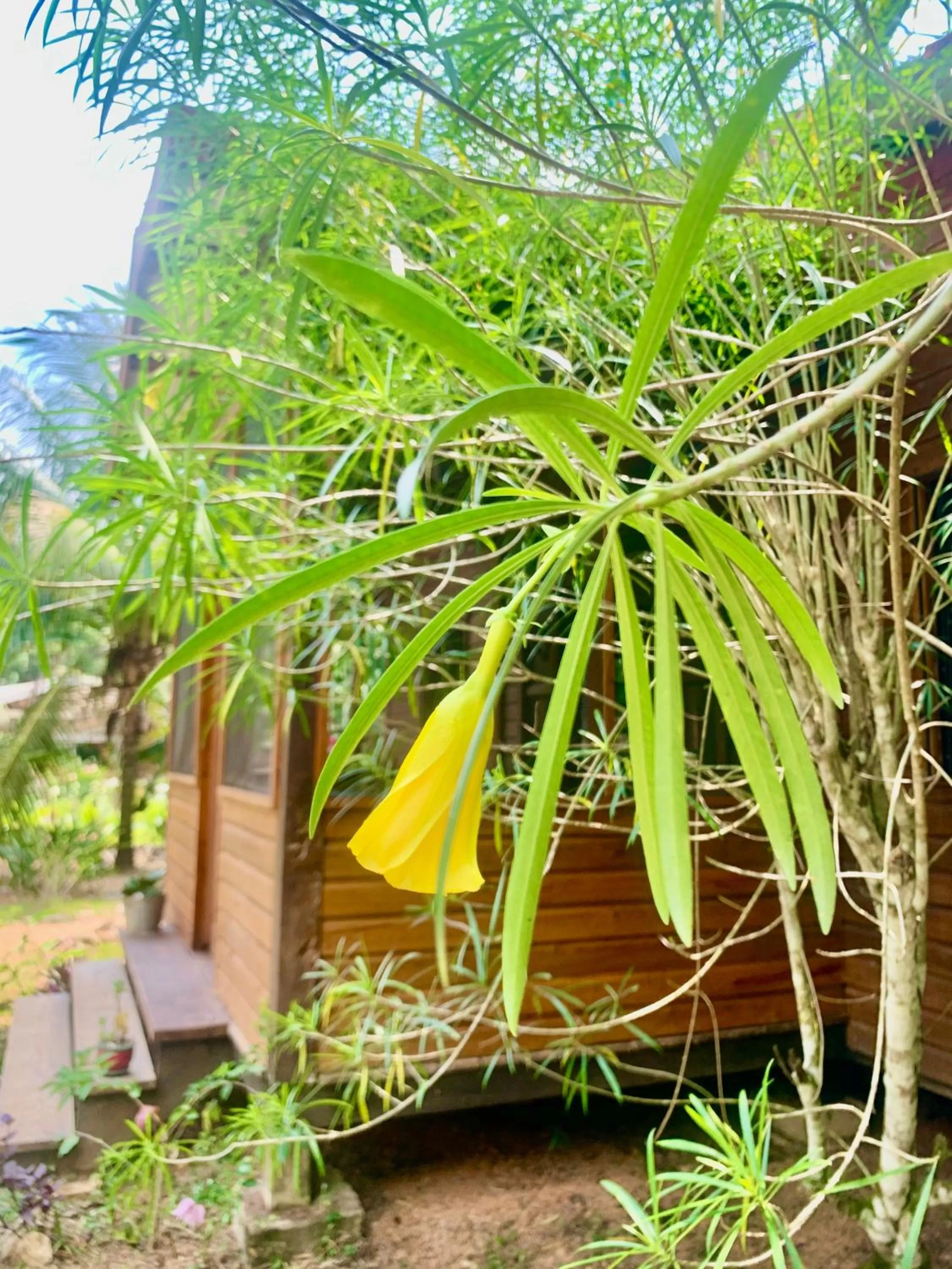 Facade/entrance in Sattva Land