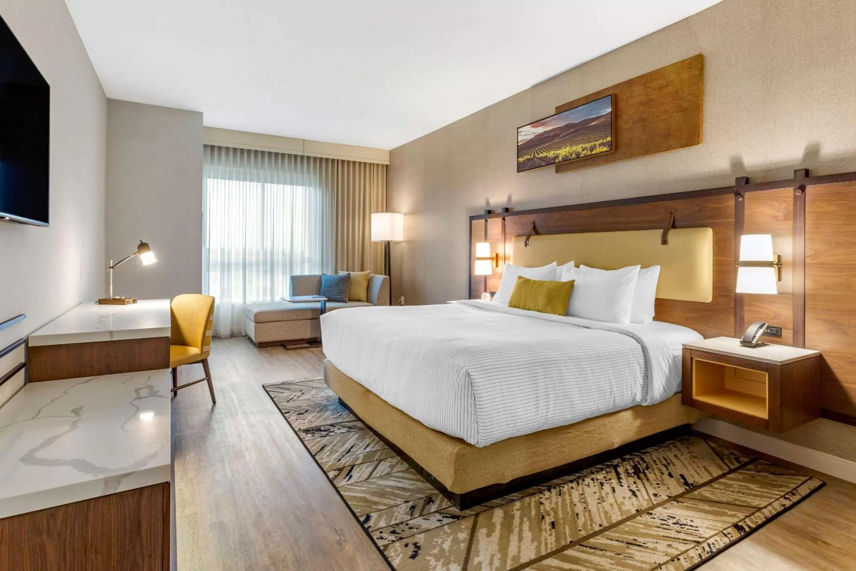 King Room - Accessible/Non-Smoking in Cambria Hotel Sonoma Wine Country