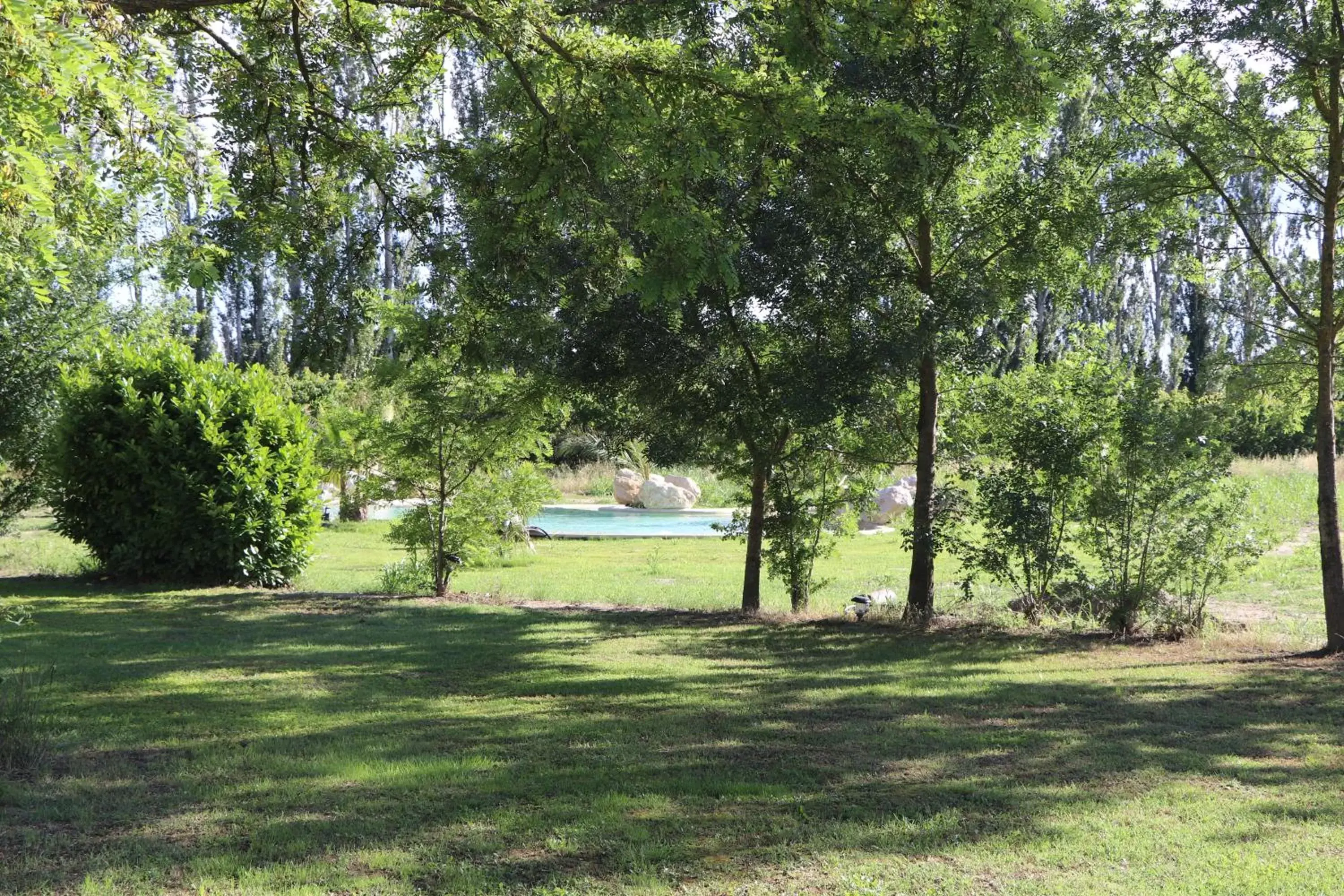 Garden in Mas des Cerisiers