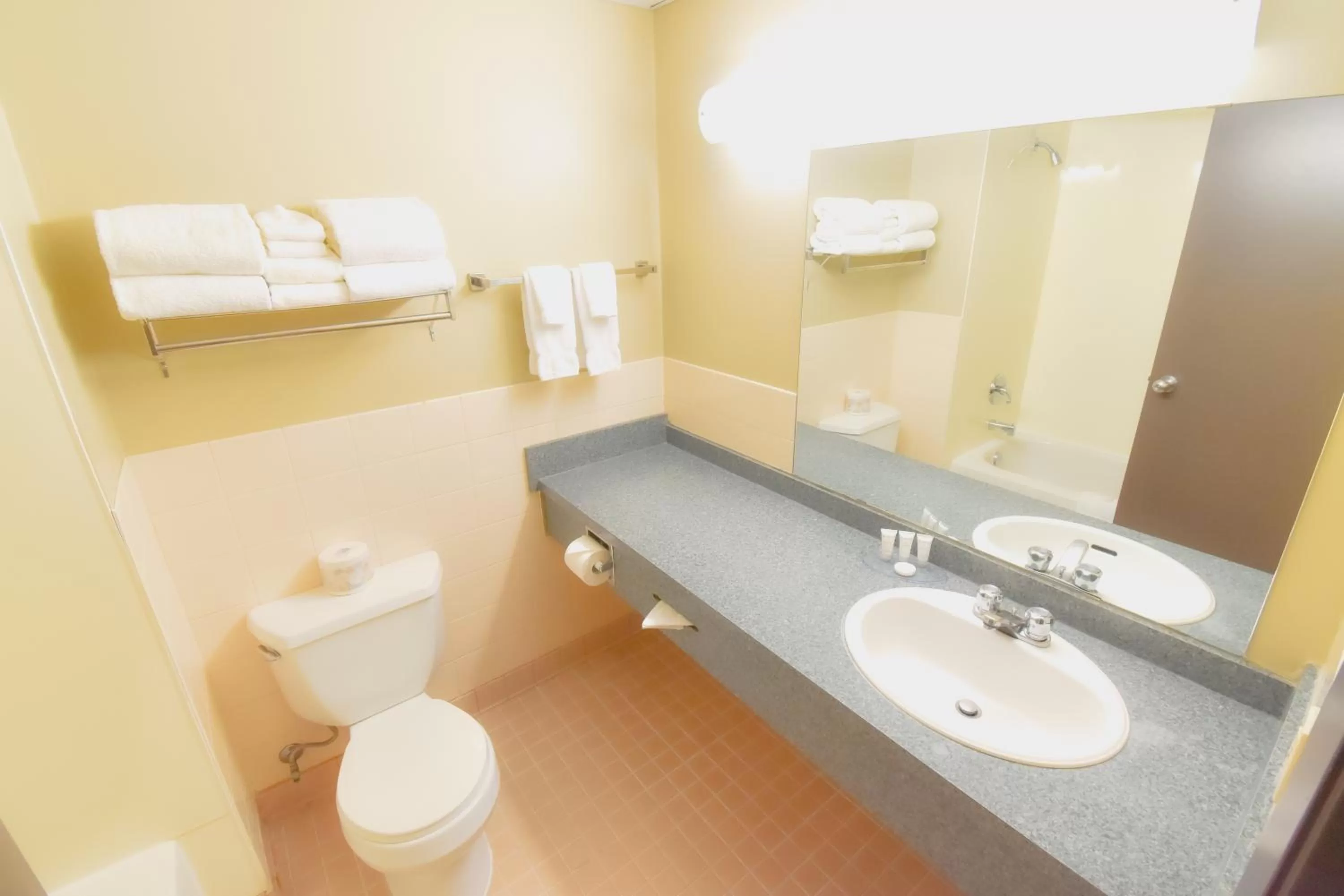 Bathroom in Canad Inns Destination Centre Garden City