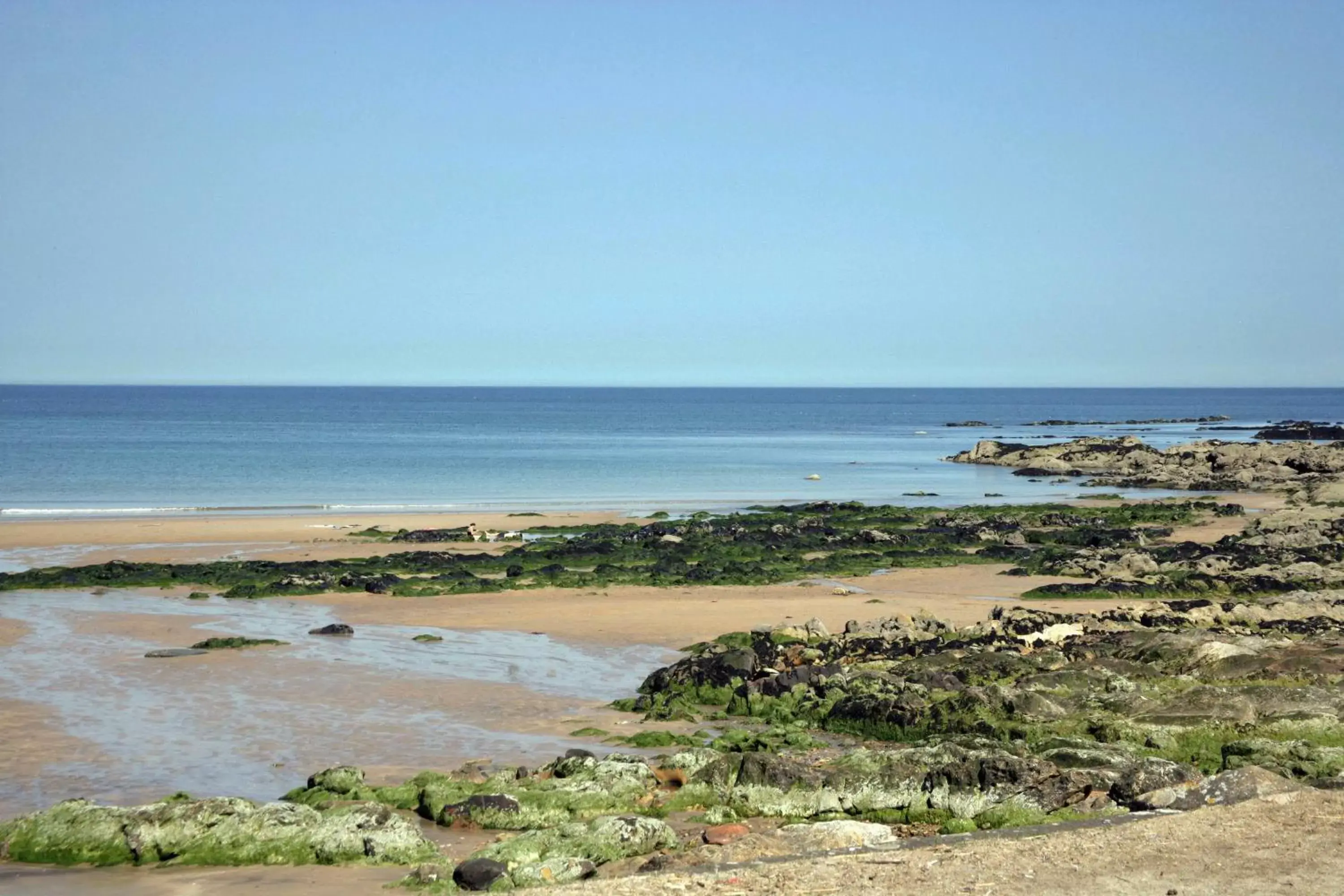 Beach in No12 Bed and Breakfast, St Andrews