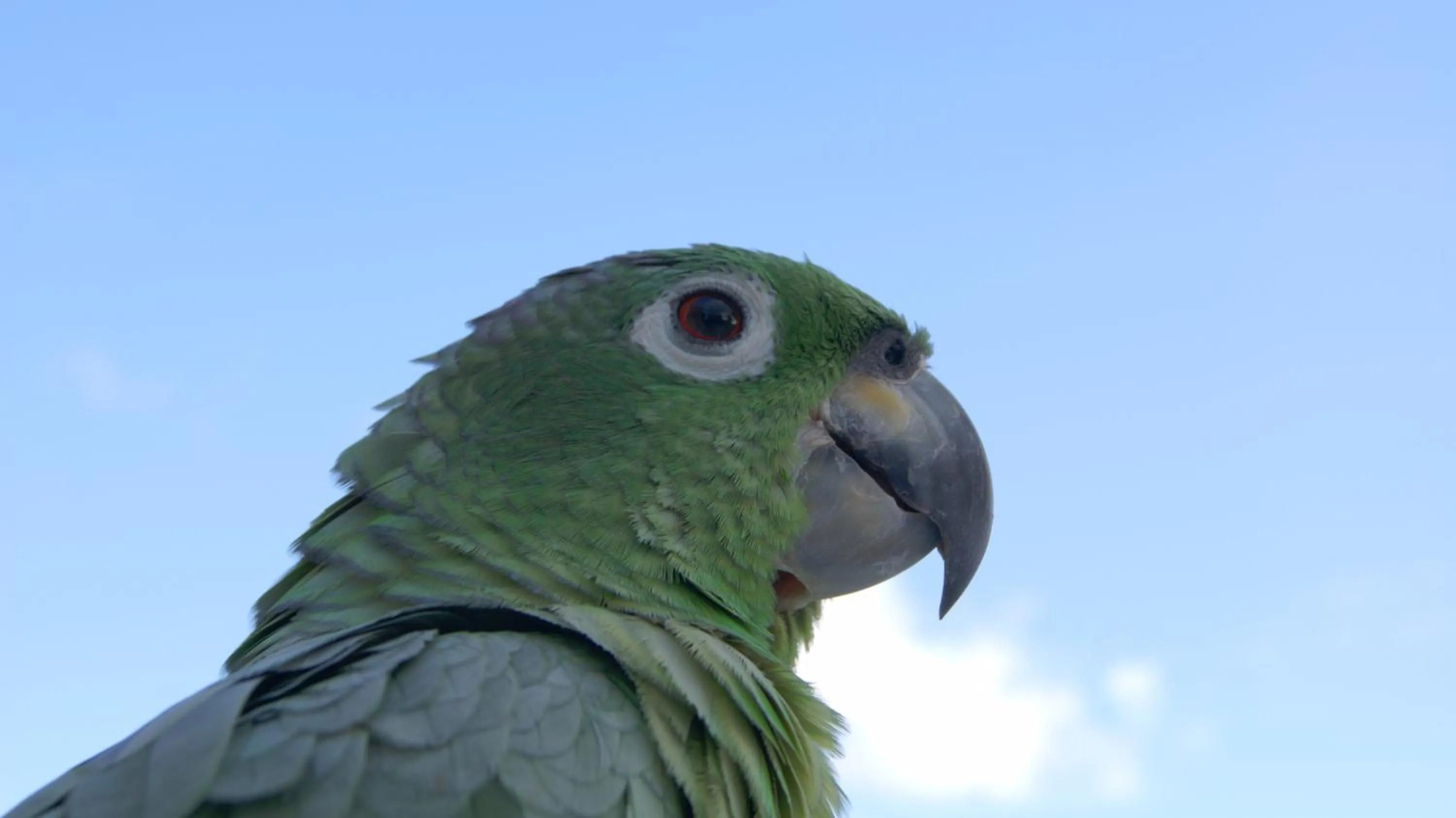 Natural landscape in Hotel Anaconda