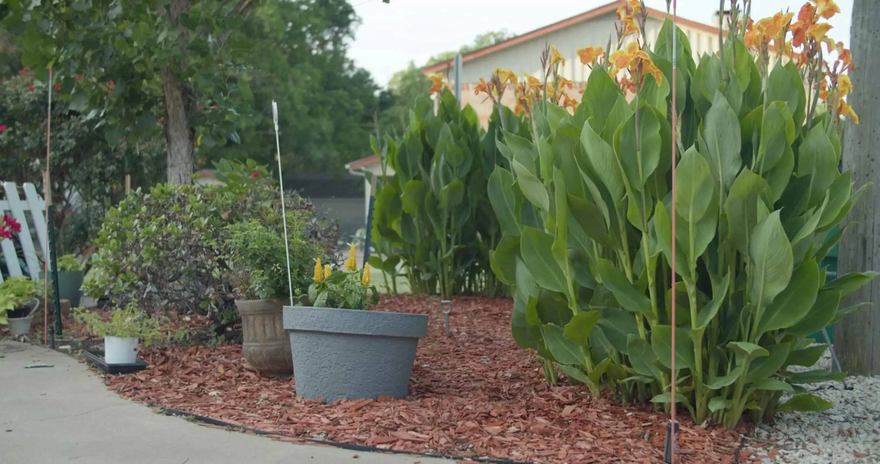 Garden, Property Building in Granbury Gardens Bed and Breakfast