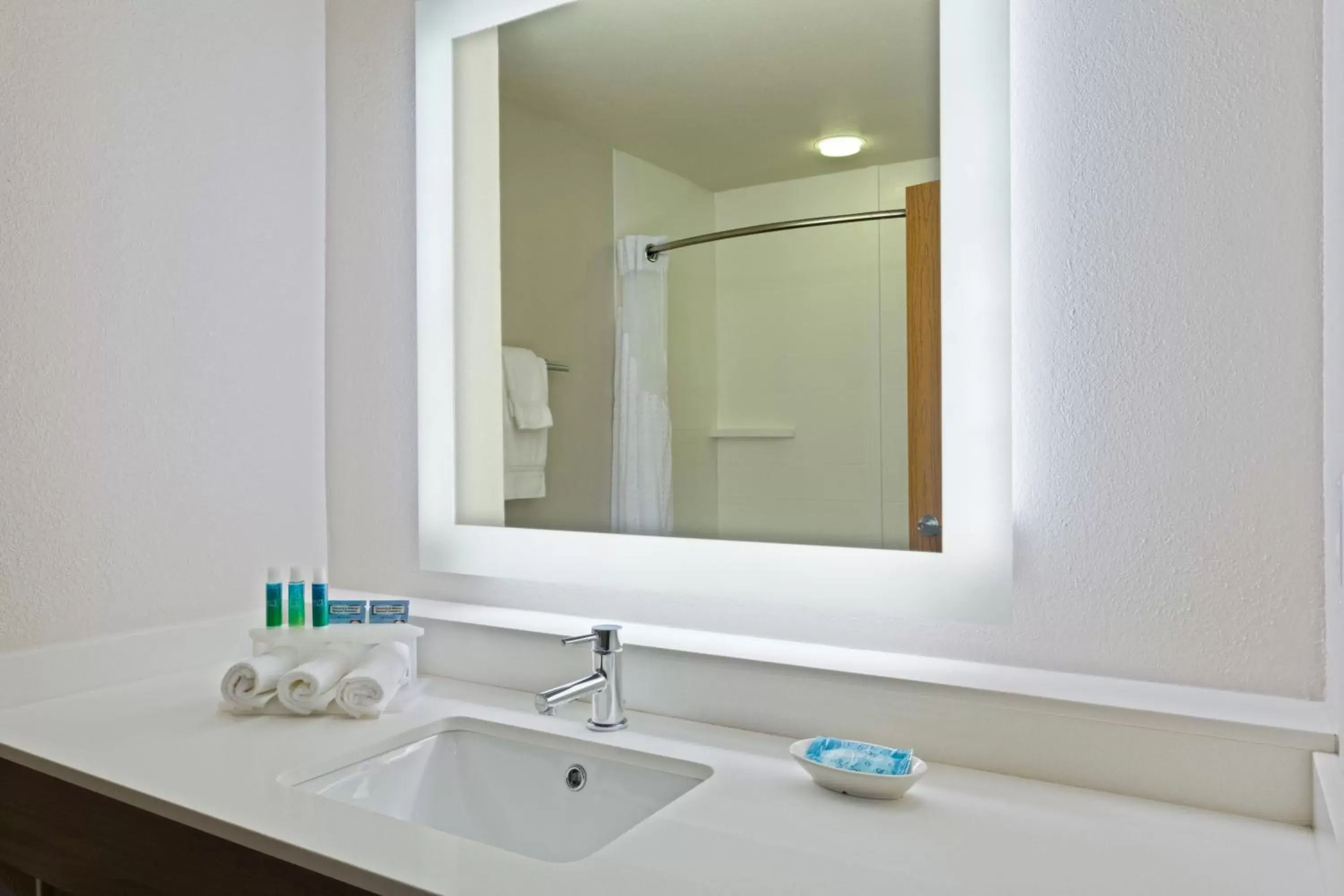 Bathroom in Holiday Inn Express & Suites Tavares, an IHG Hotel