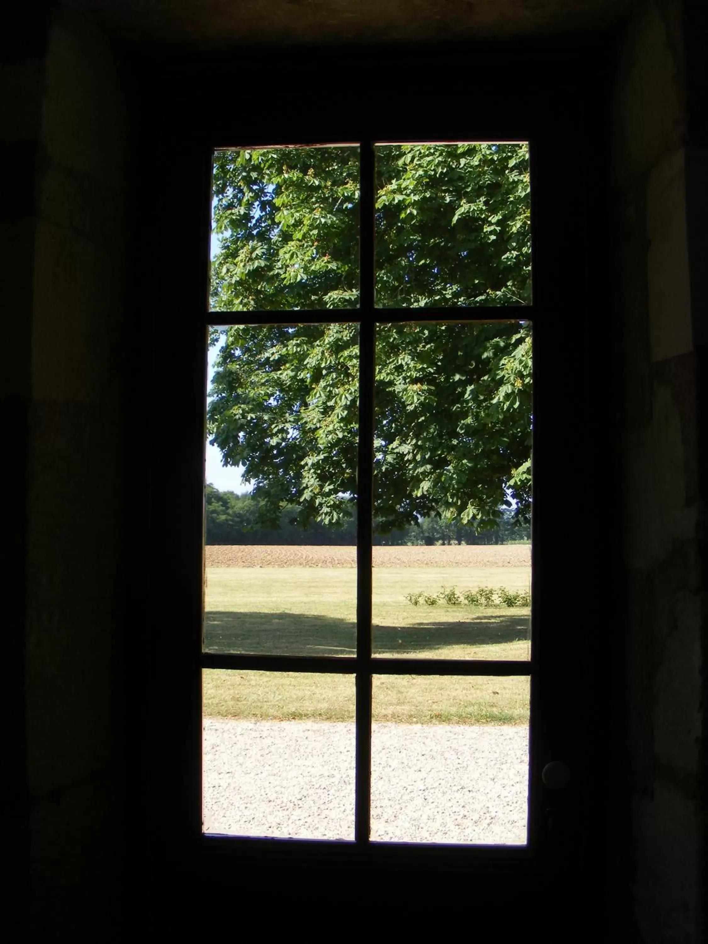 Garden view in La chambre de la Tour