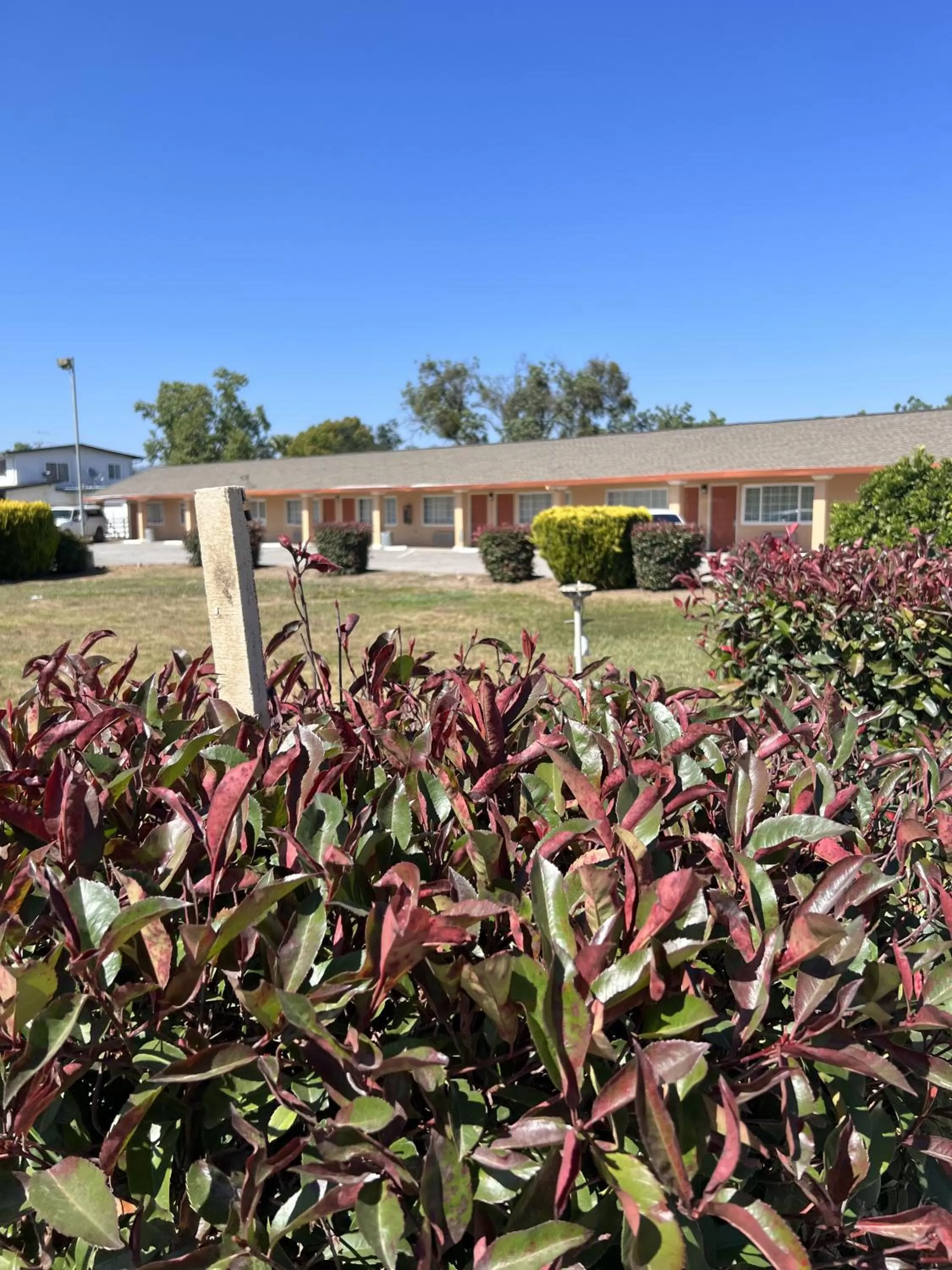 Garden in Travel Inn Gilroy