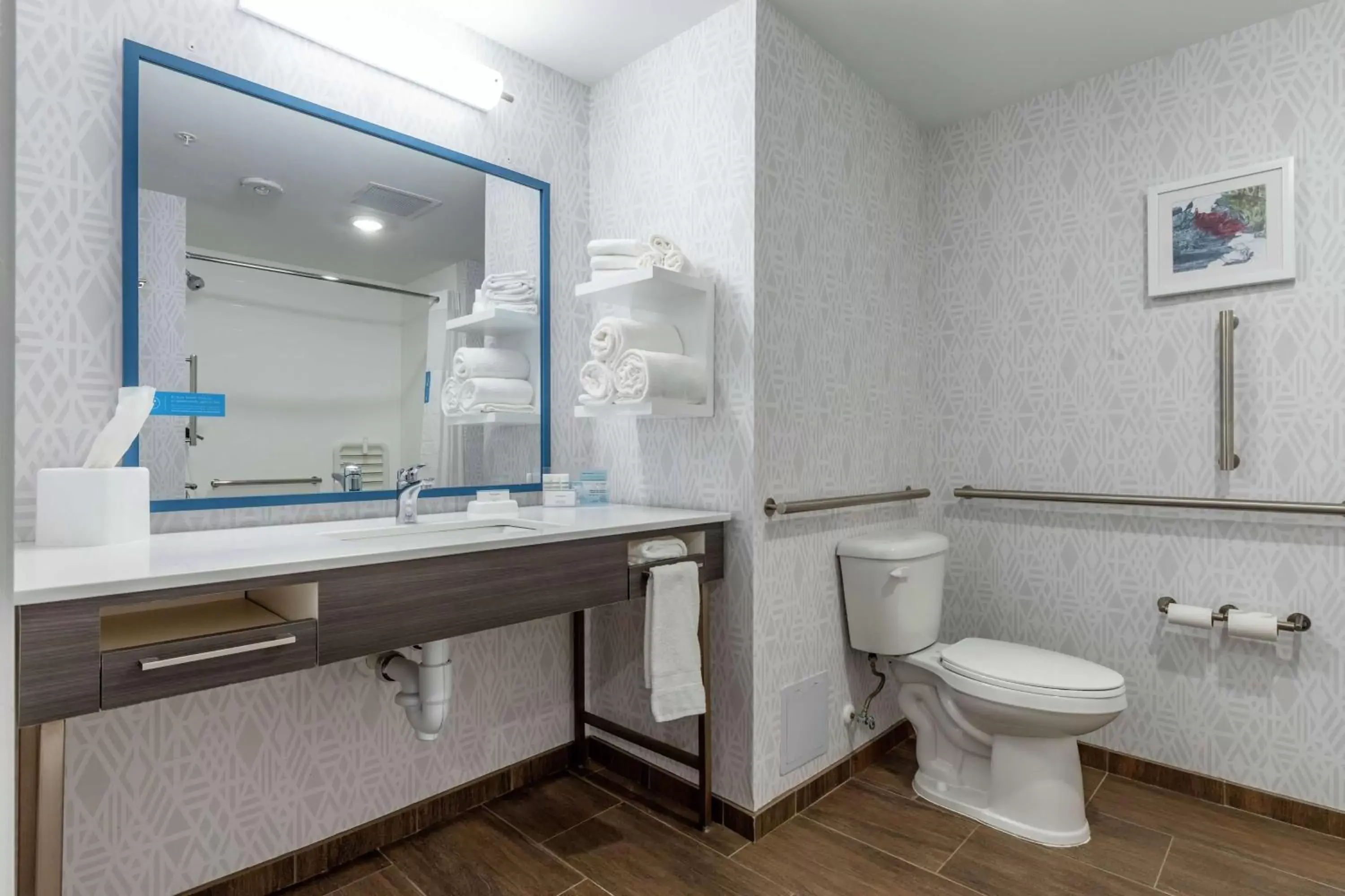 Bathroom in Hampton Inn By Hilton Camden, Sc