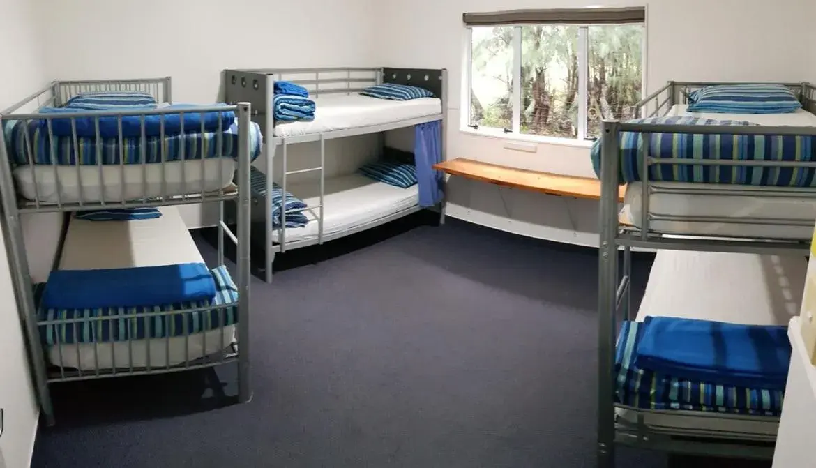 Bunk Bed in Happy Apple Backpackers