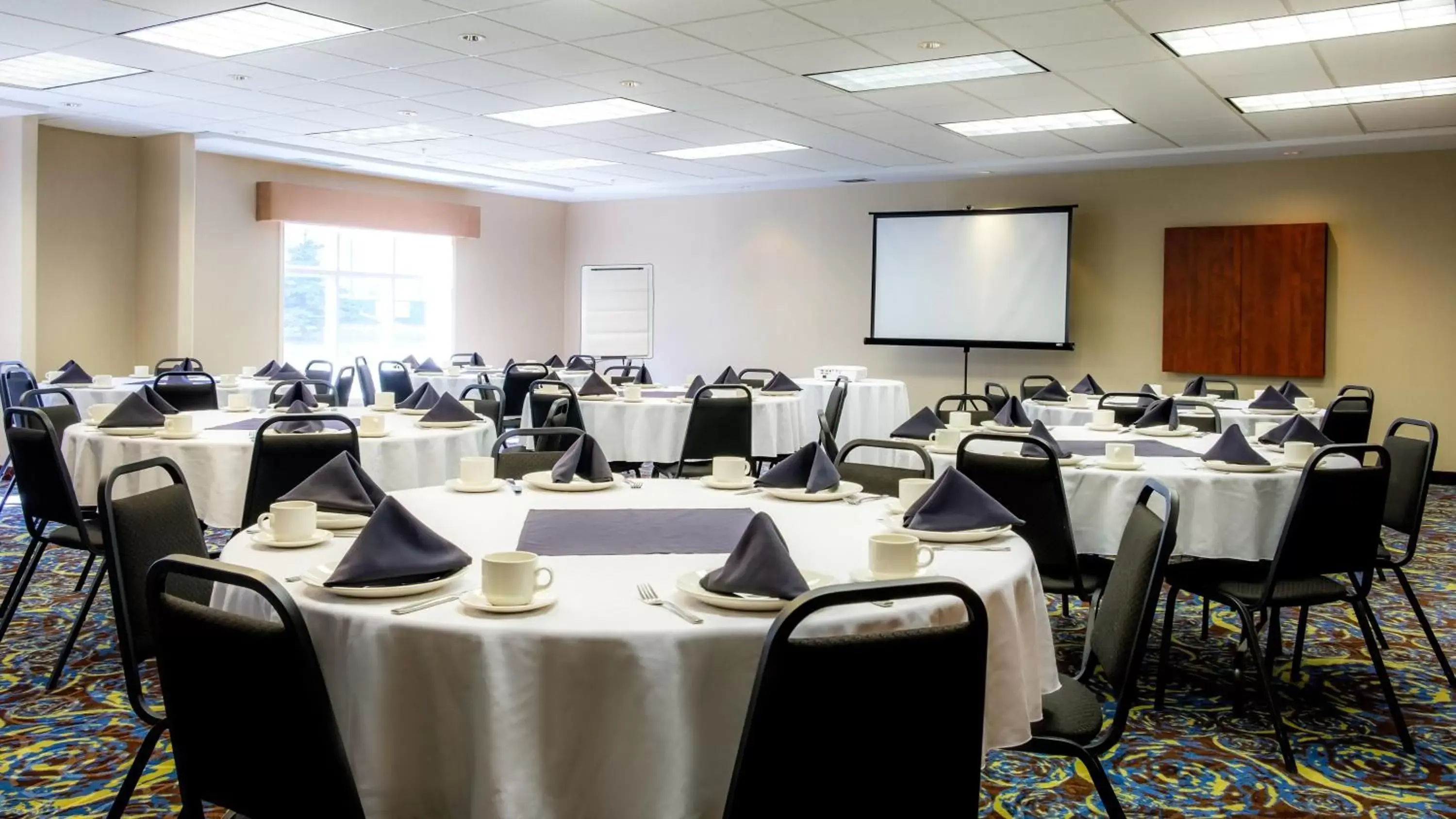 Banquet/Function facilities in Holiday Inn Express Hotel & Suites - Edmonton International Airport, an IHG Hotel