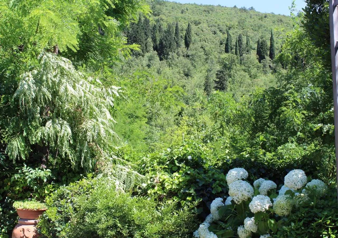 Photo of the whole room in Ulivo Rosso