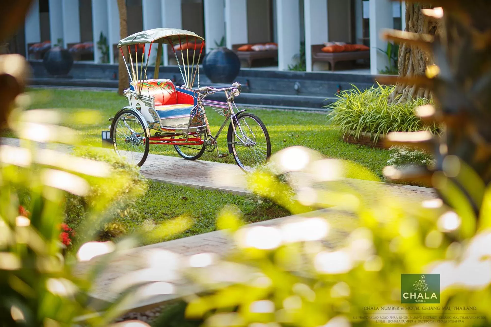 Garden in Chala Number6