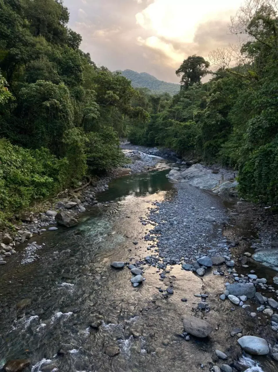 Natural Landscape in Birds & Breakfast Costa Rica