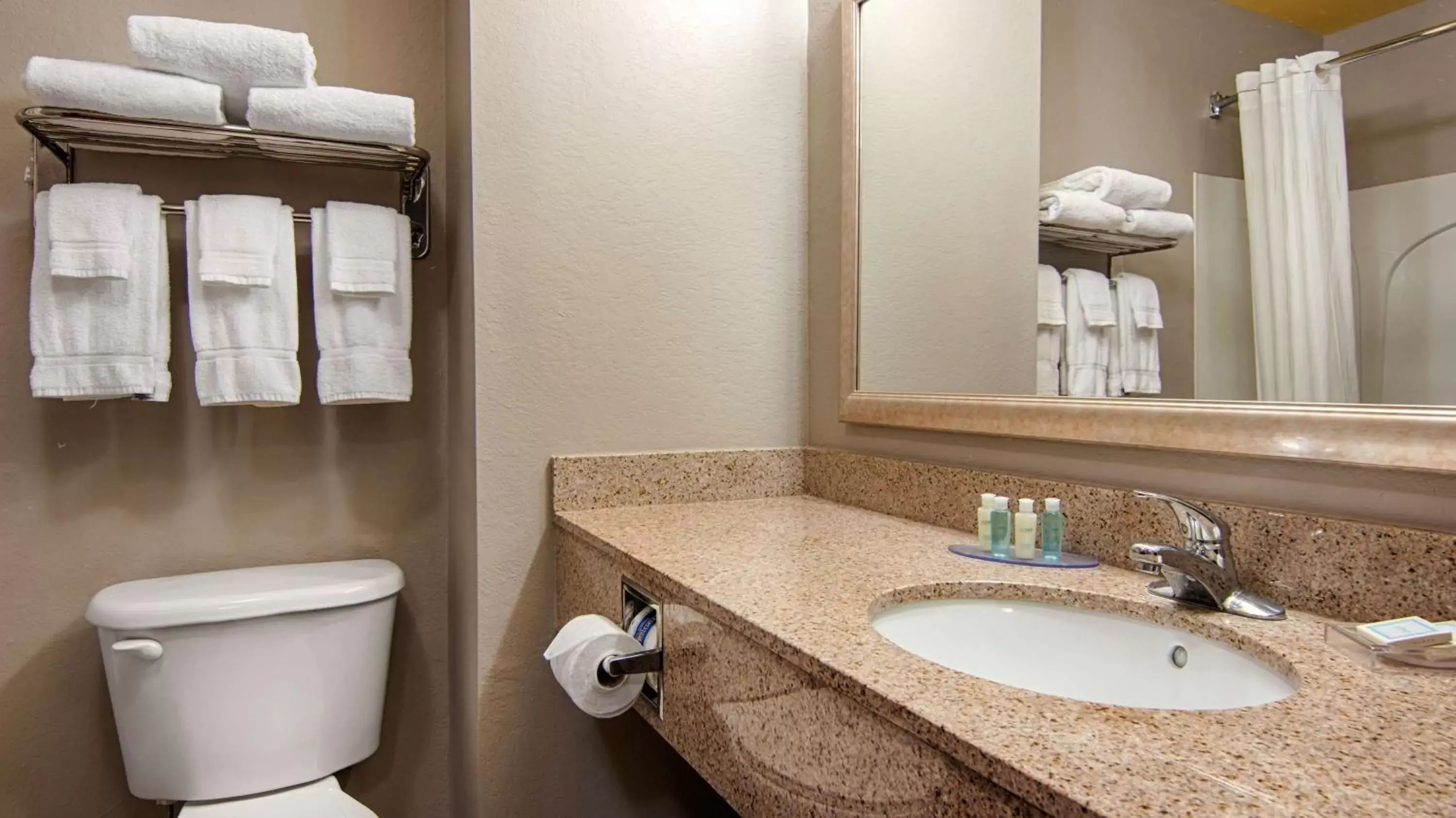 Bathroom in Best Western Auburndale Inn & Suites