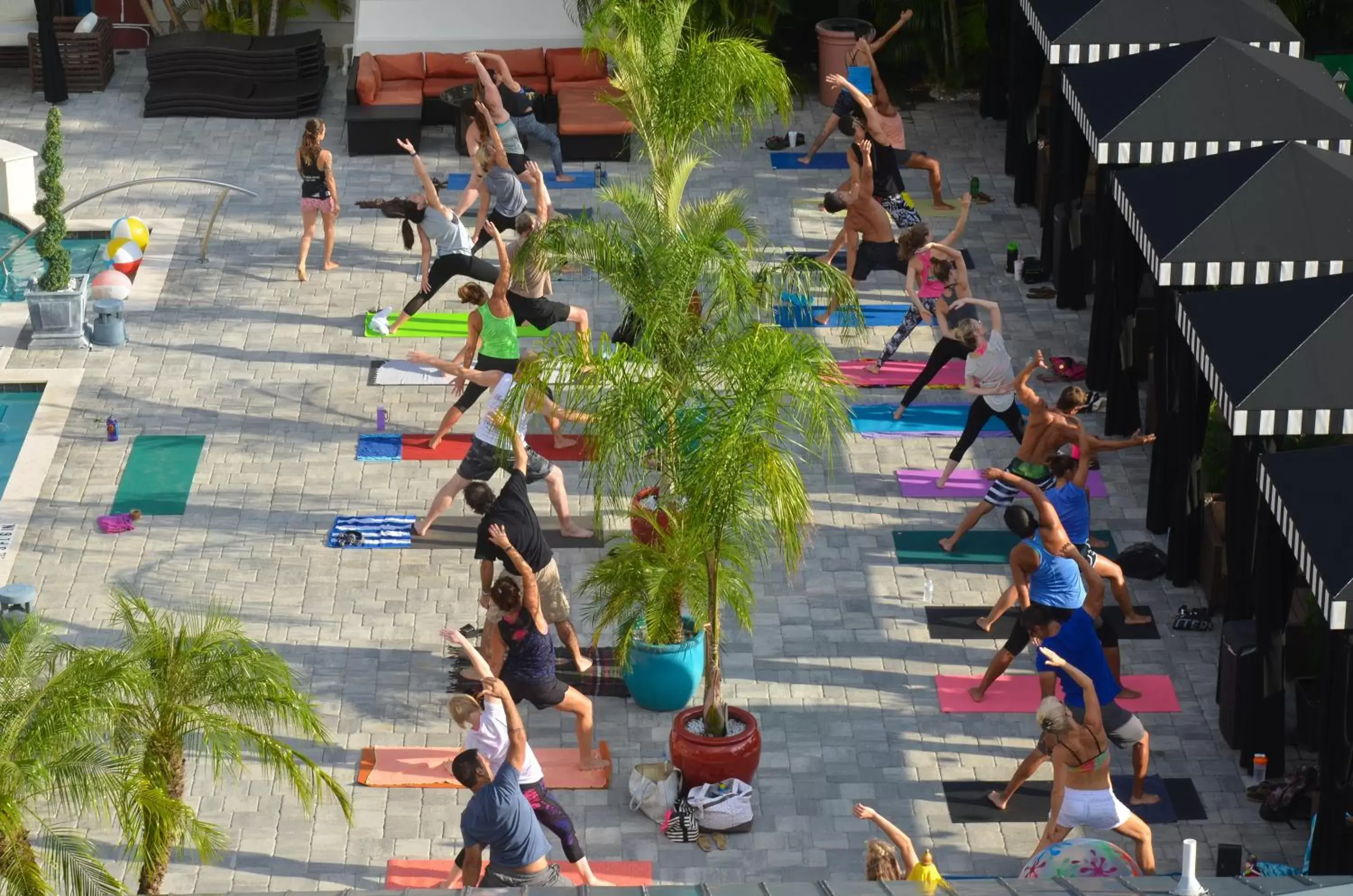 Activities, Pool View in Hollander Hotel - Downtown St. Petersburg