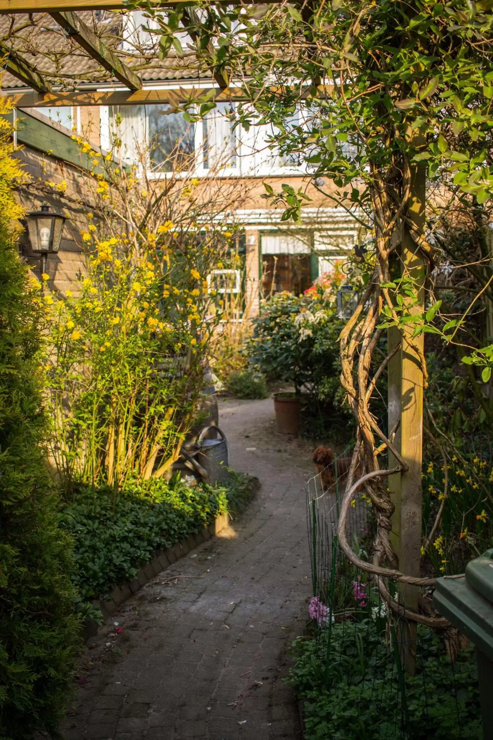 Facade/entrance, Garden in B&B Aan het Park Eindhoven