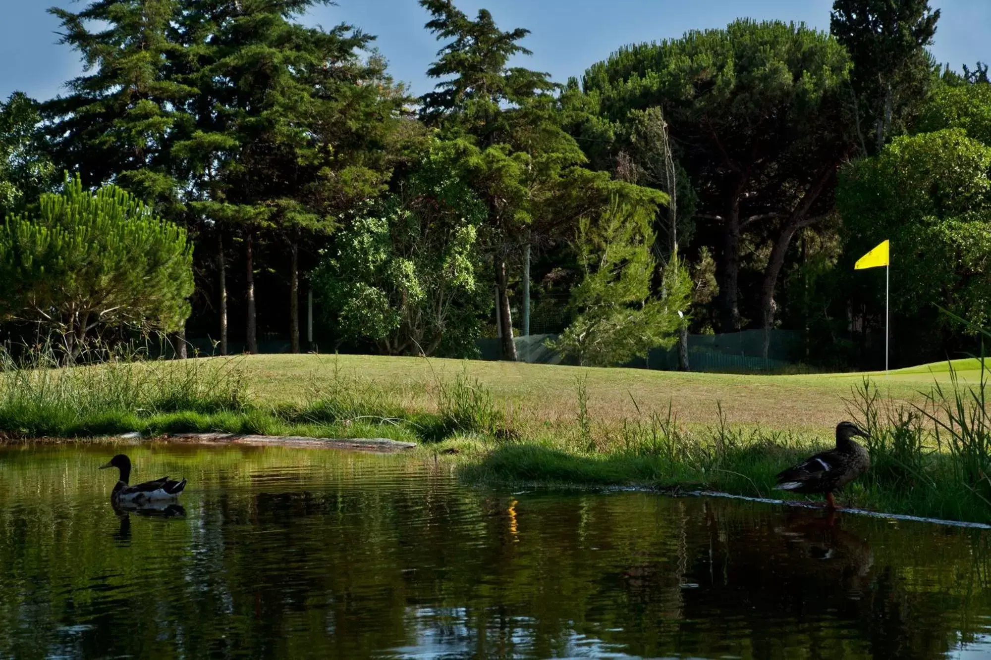 Golfcourse in Palácio Estoril Hotel, Golf & Wellness