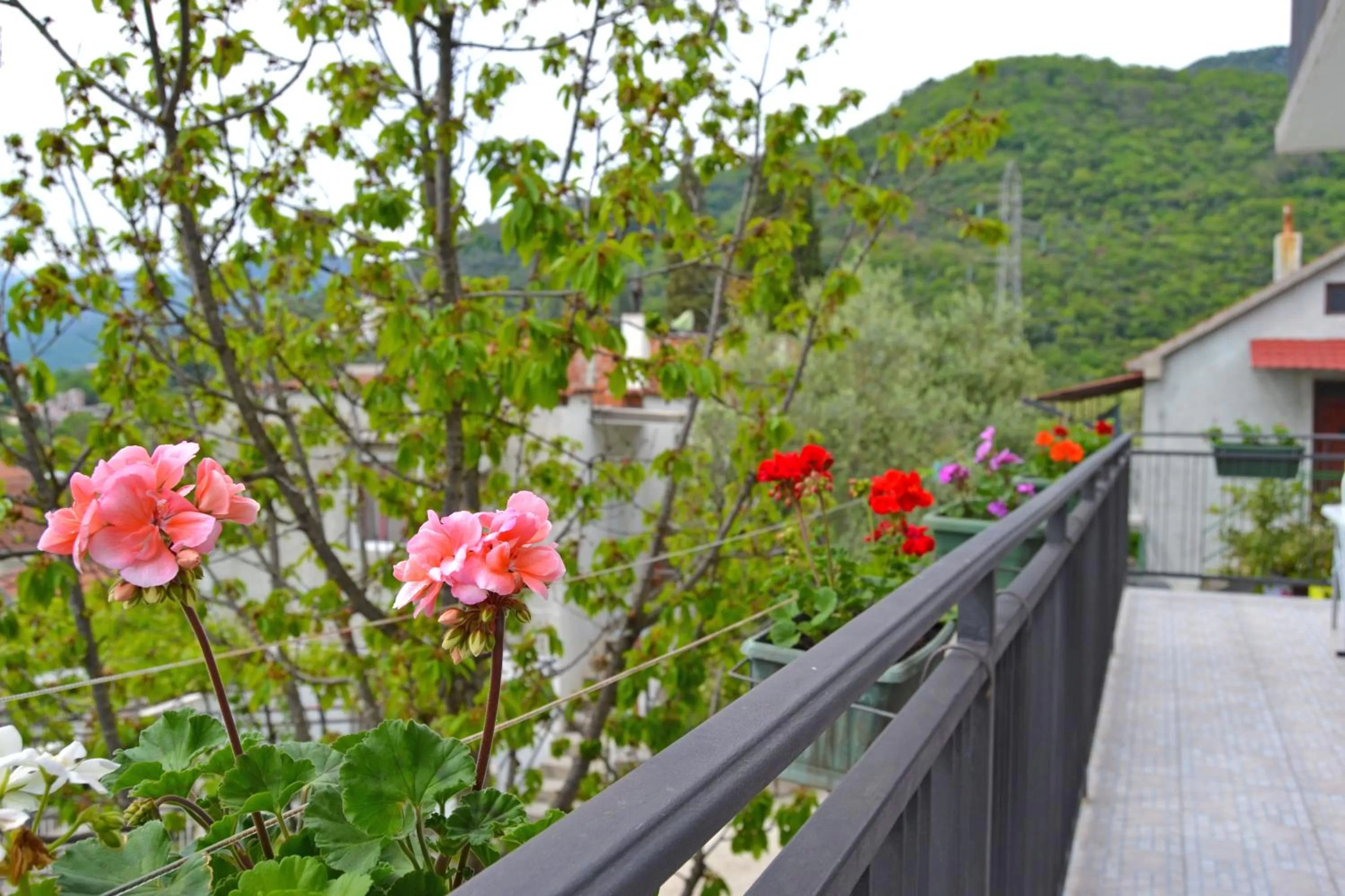 Property building, Balcony/Terrace in Tivat Apartments