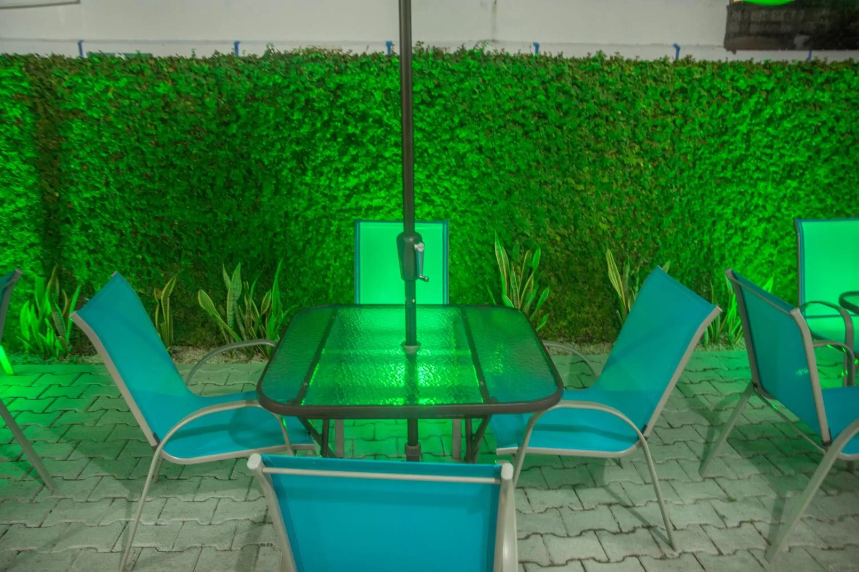 Patio, Swimming Pool in Hotel Casa Blanca