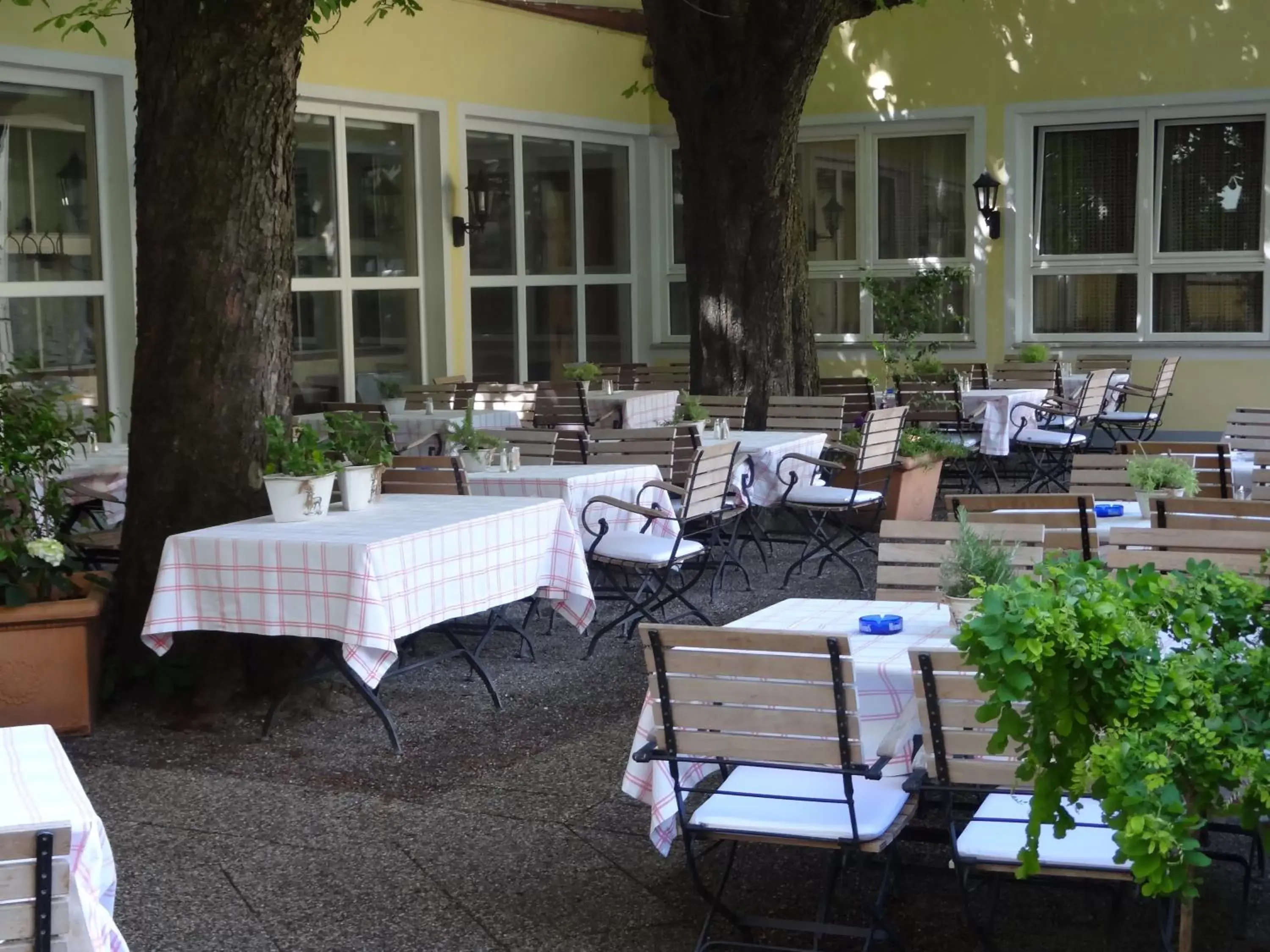 Garden, Restaurant/Places to Eat in Hotel Sailer